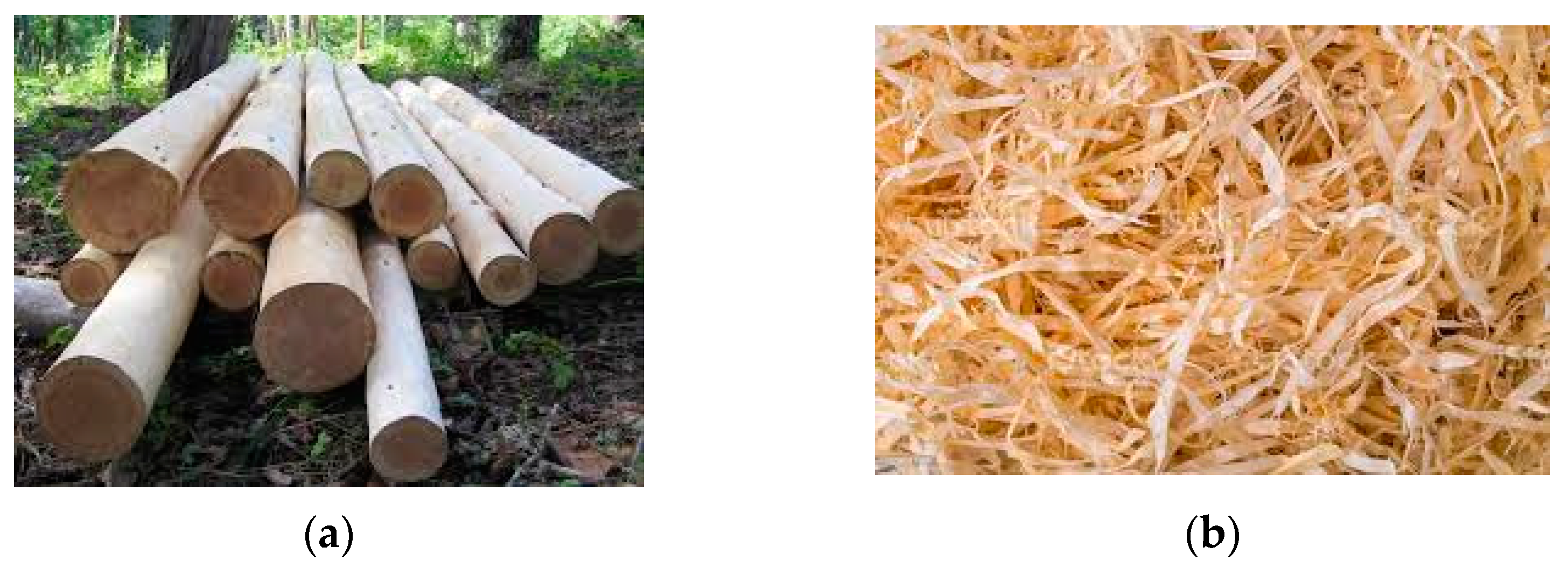 Polymers 13 04352 g001a Polymers 13 04352 g001a