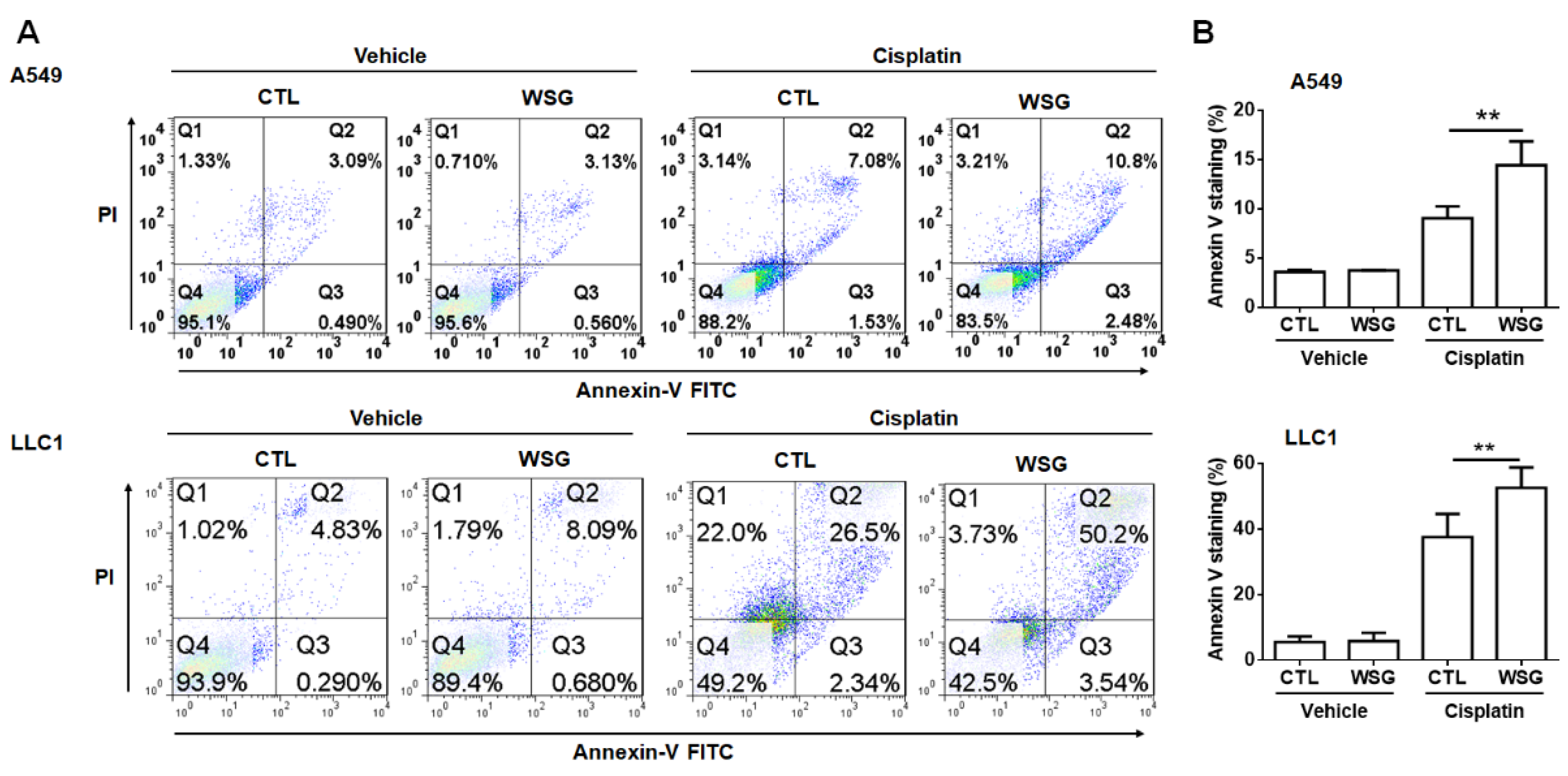 Polymers 13 04353 g002