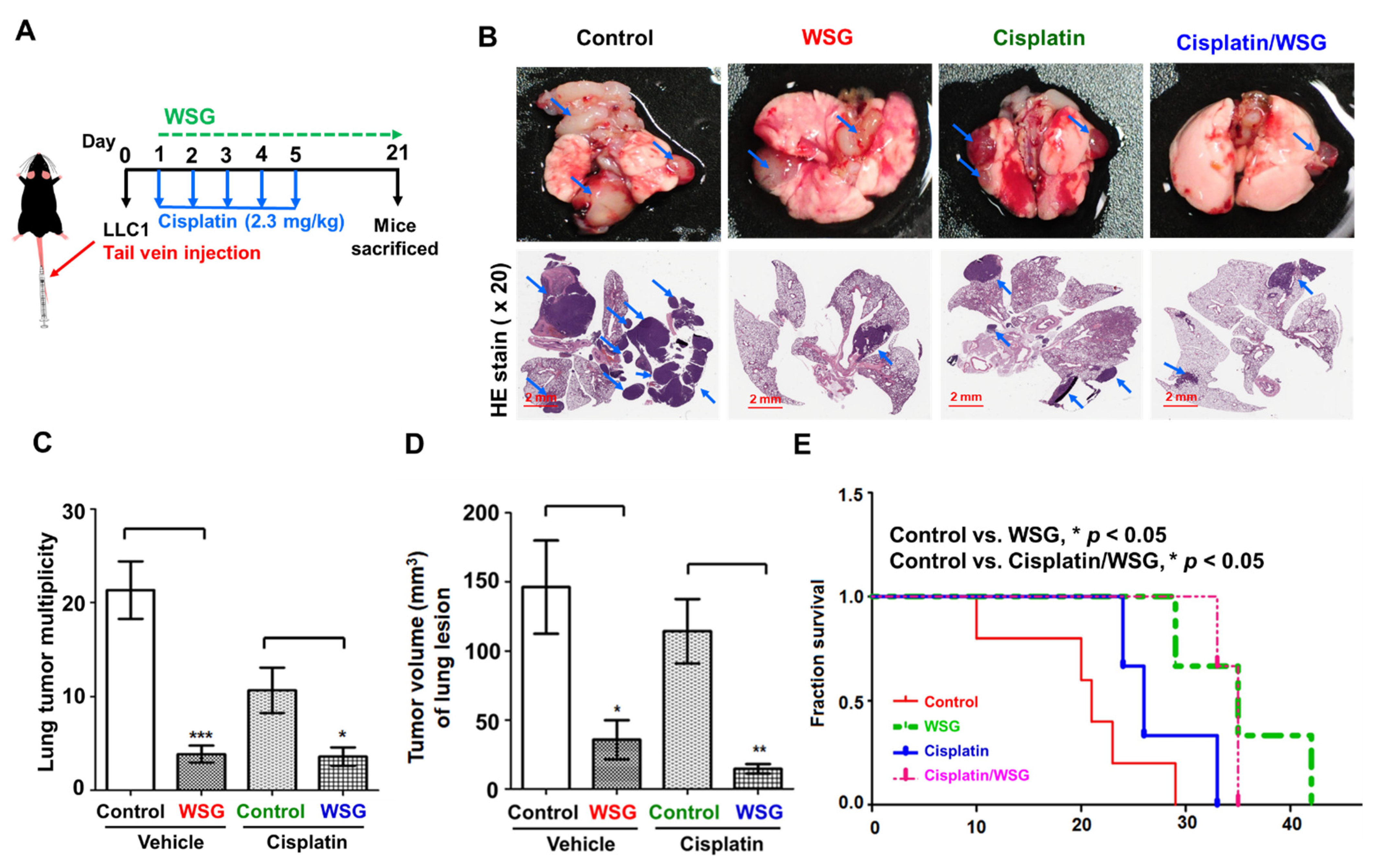 Polymers 13 04353 g005