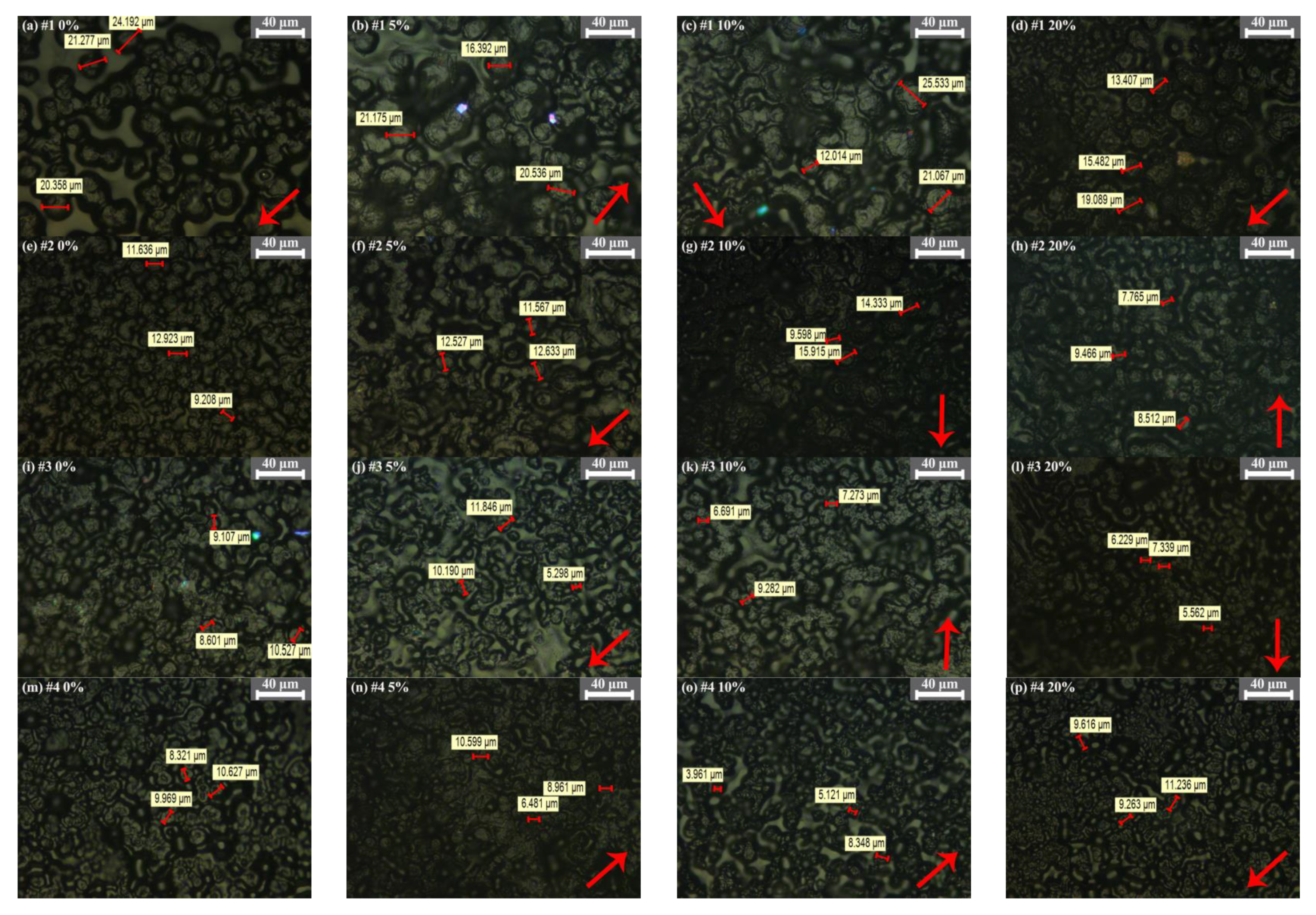 Polymers 13 04354 g004
