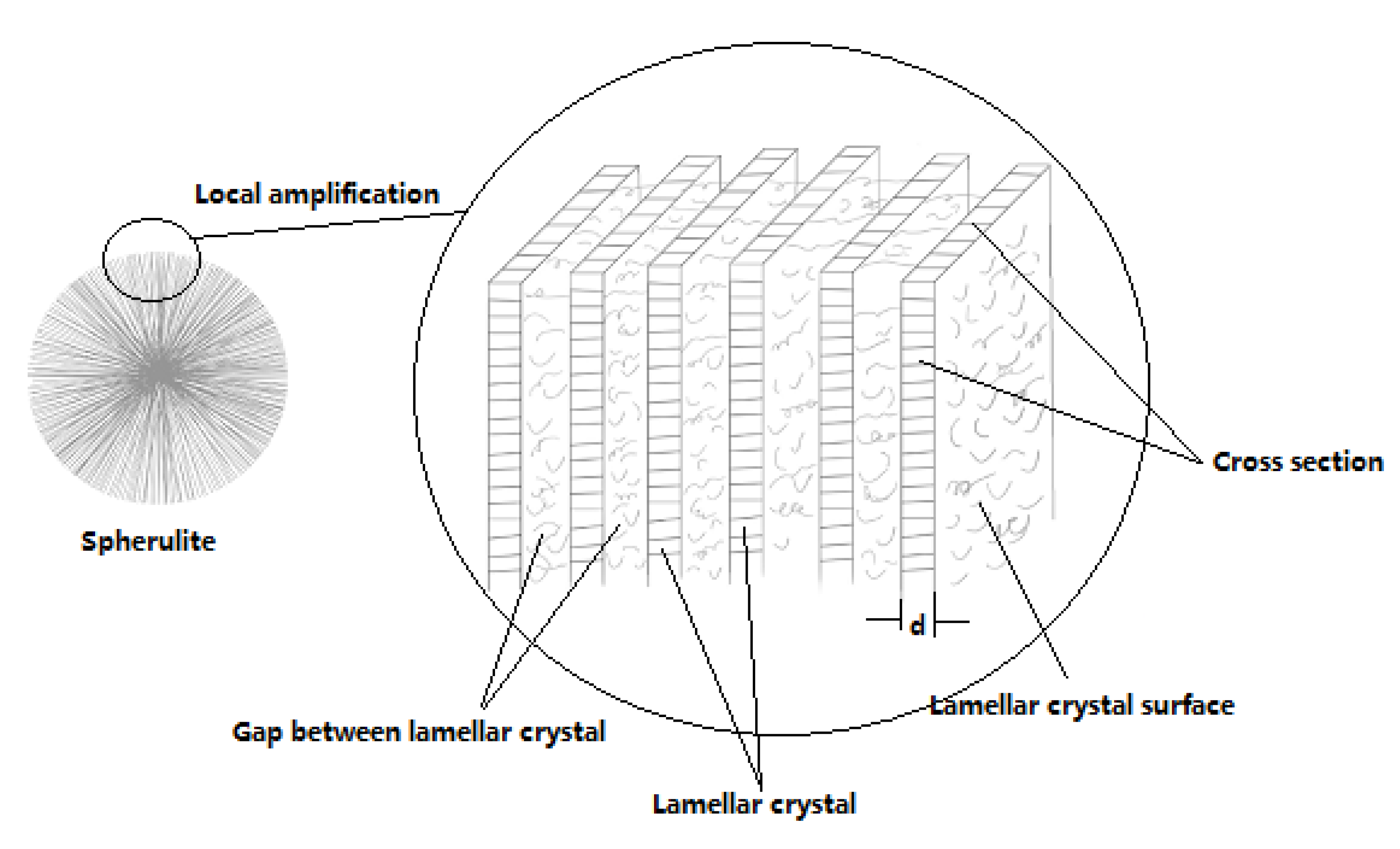 Polymers 13 04354 g006