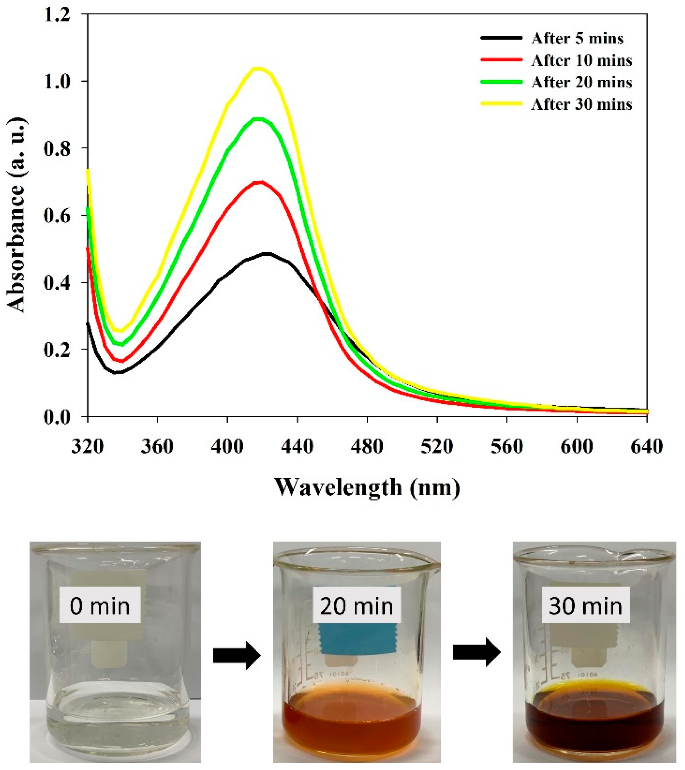 Polymers 13 04355 g002