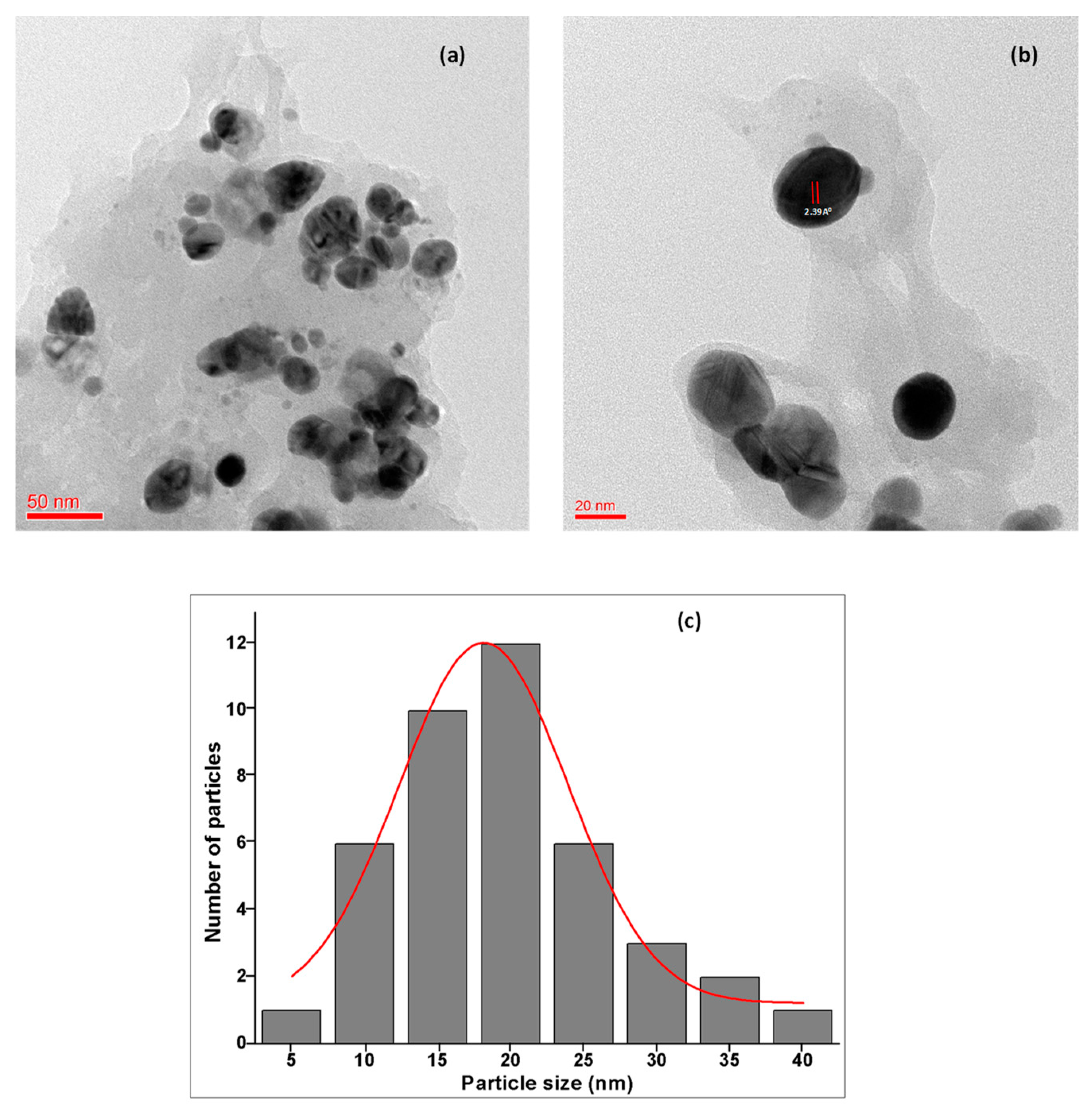 Polymers 13 04355 g008