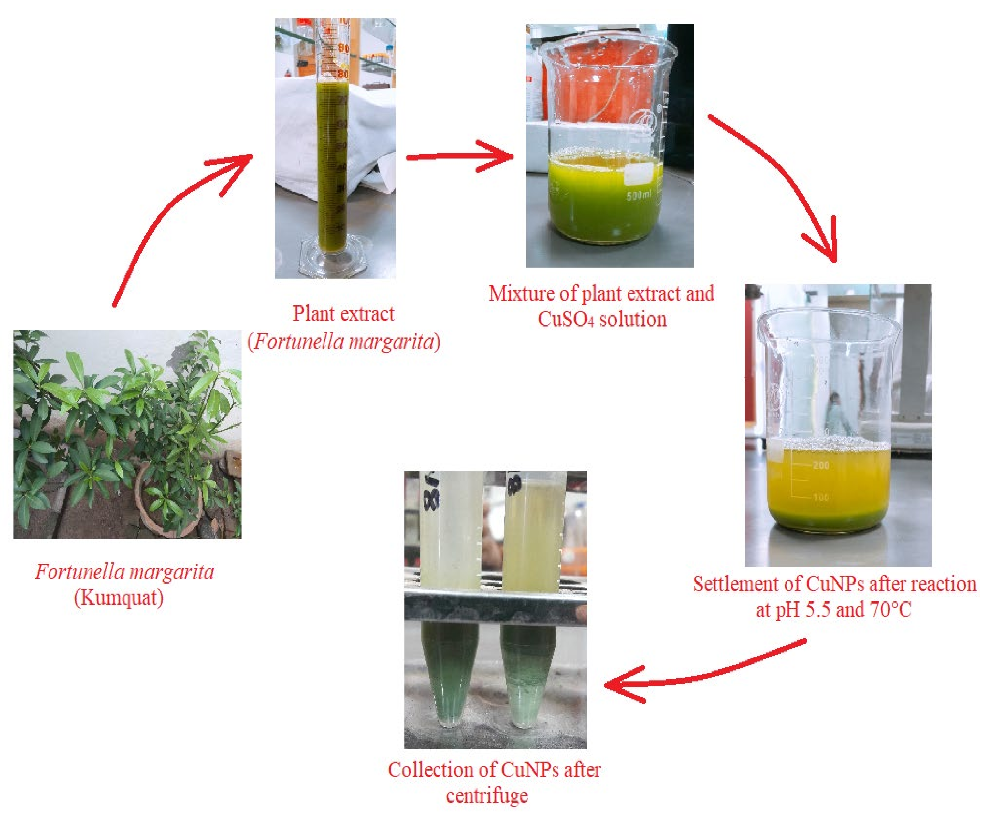 Polymers 13 04364 g003