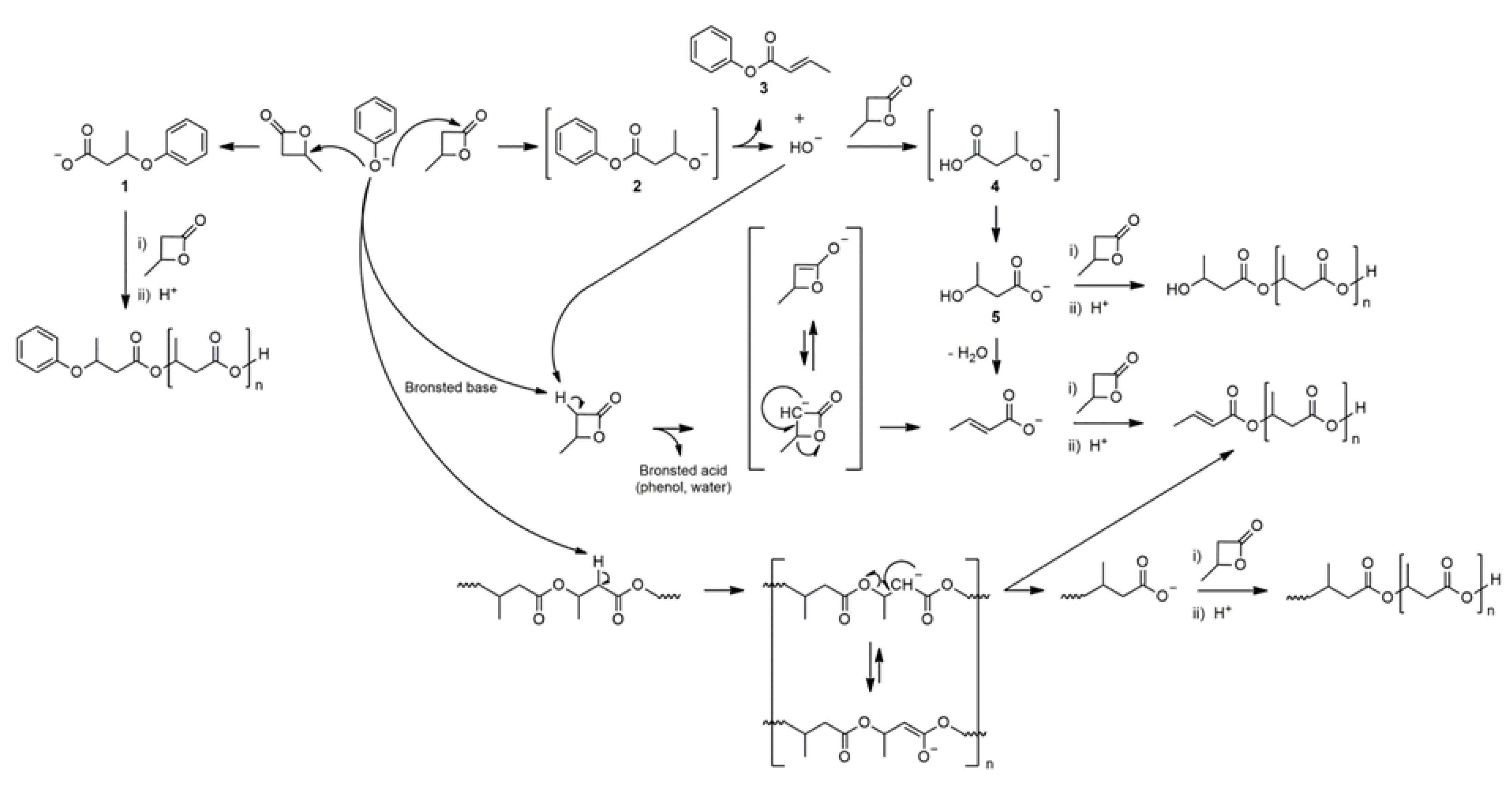 Polymers 13 04365 sch004 Polymers 13 04365 sch004