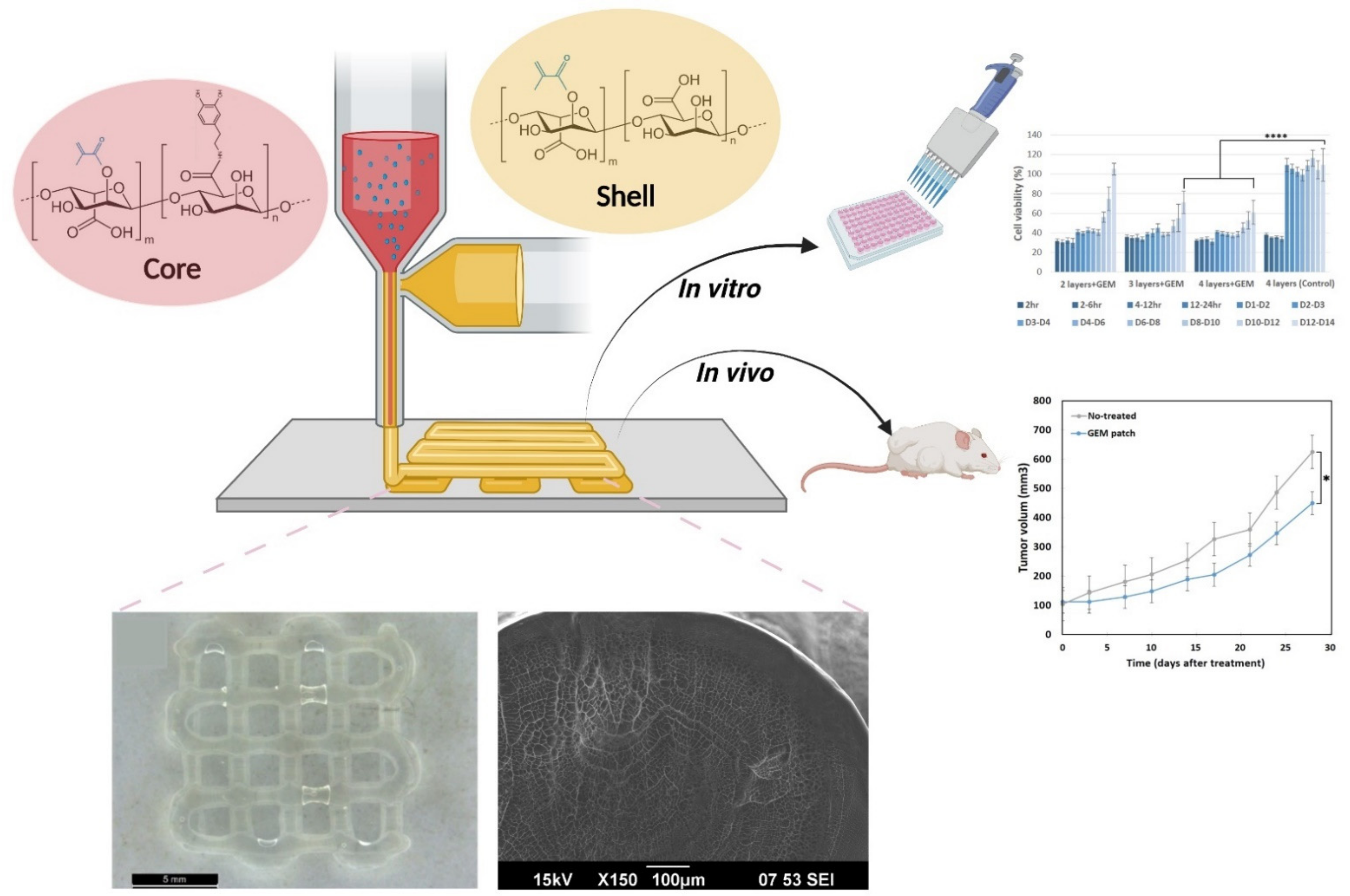 Polymers 13 04367 g001