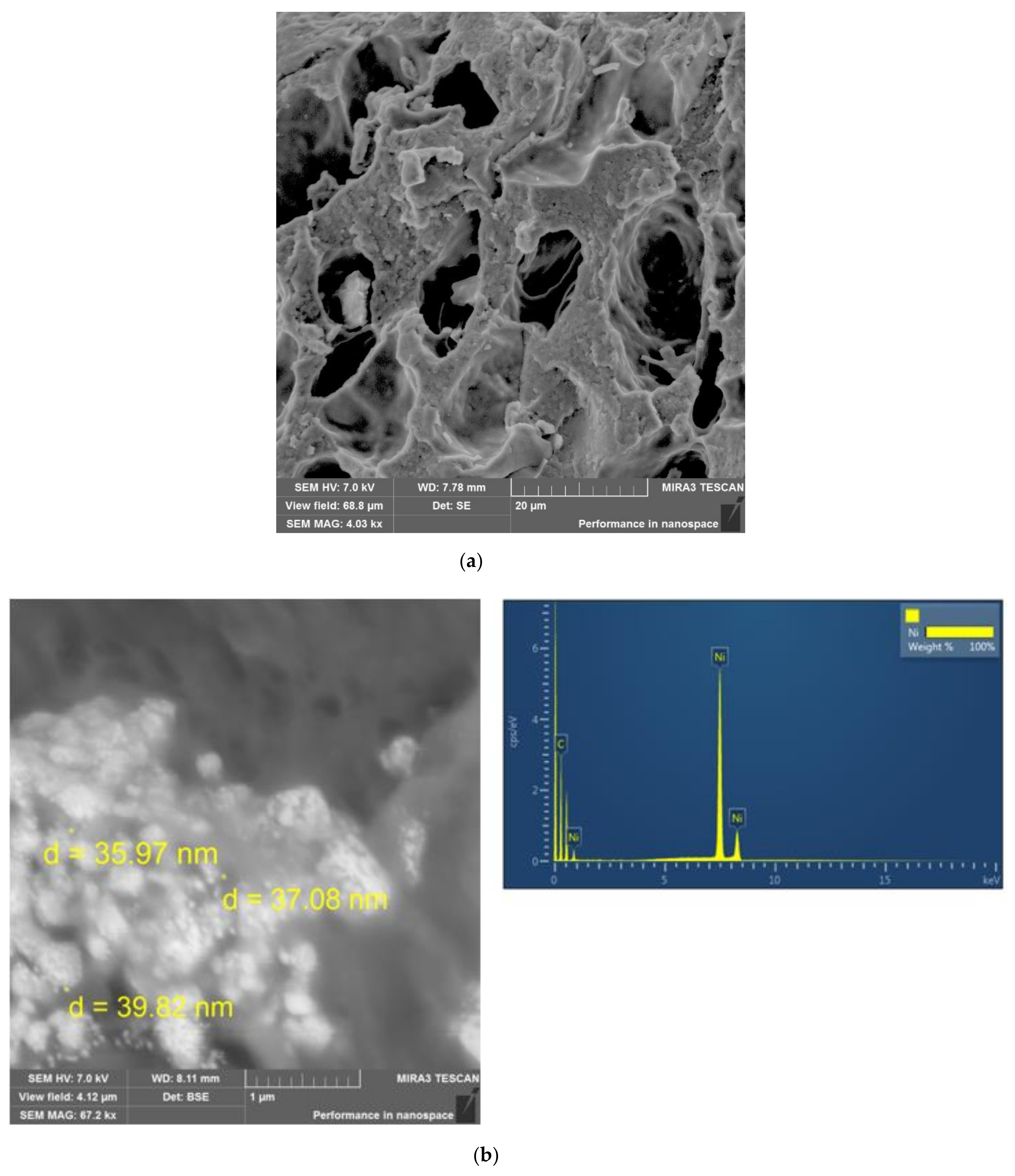 Polymers 13 04369 g004a