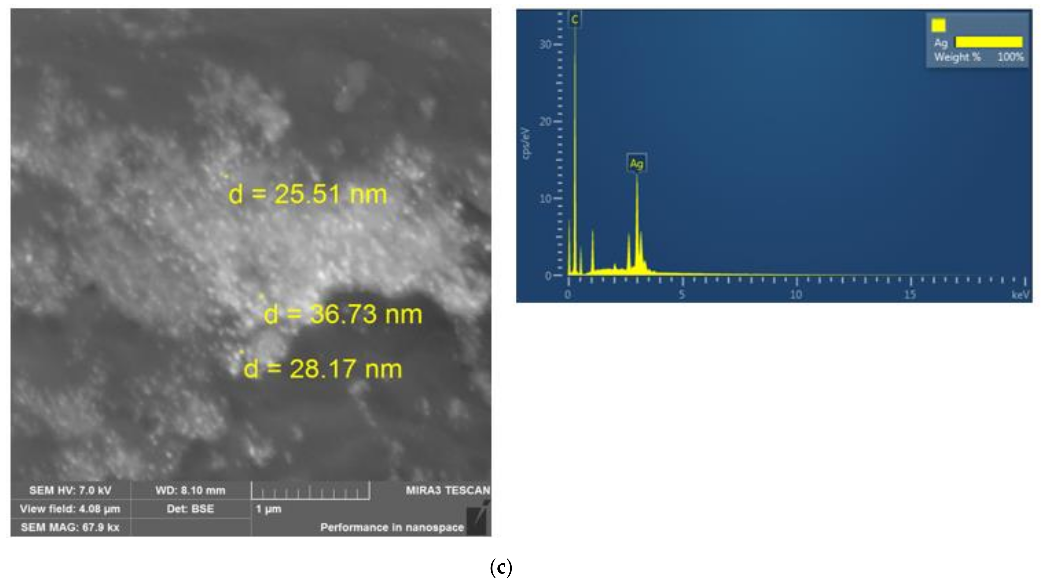 Polymers 13 04369 g004b