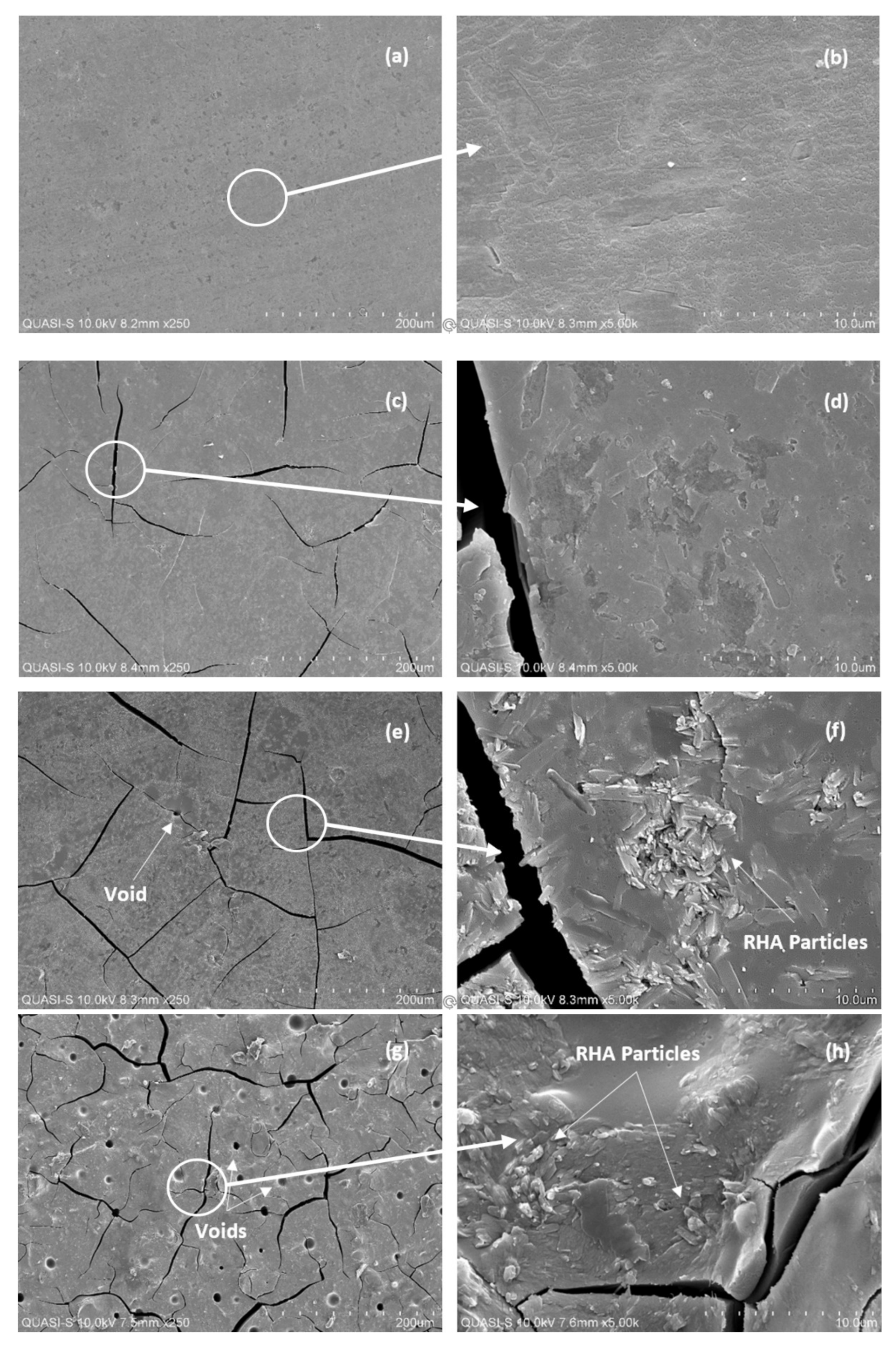 Polymers 13 04373 g009
