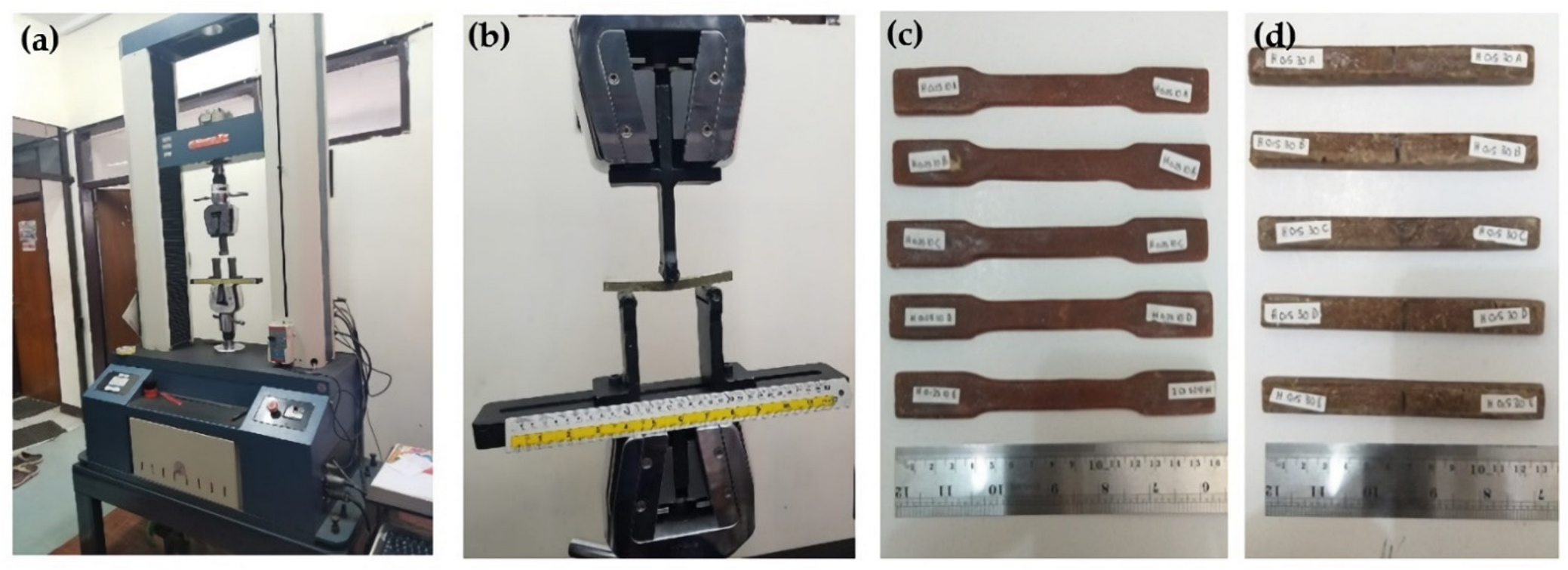 Polymers 13 04377 g003