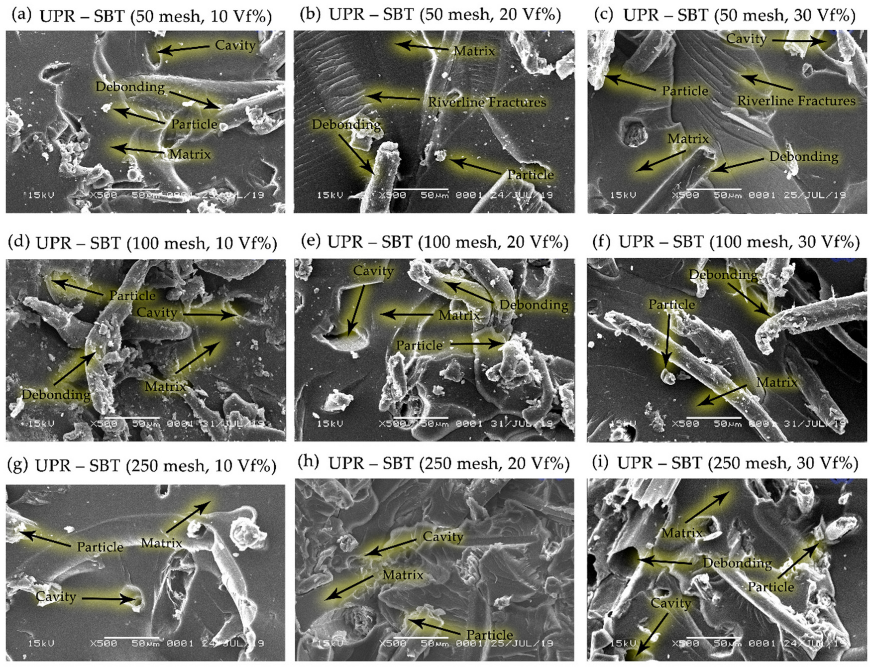 Polymers 13 04377 g014