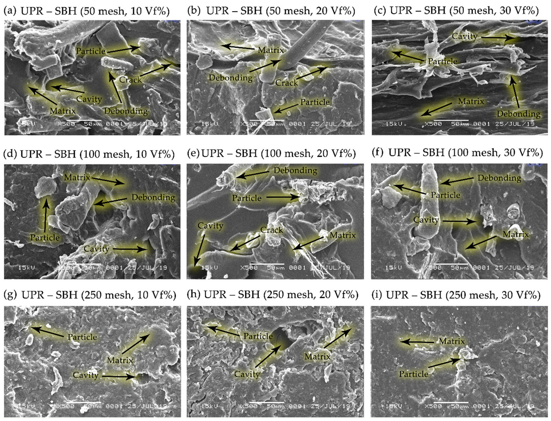 Polymers 13 04377 g015