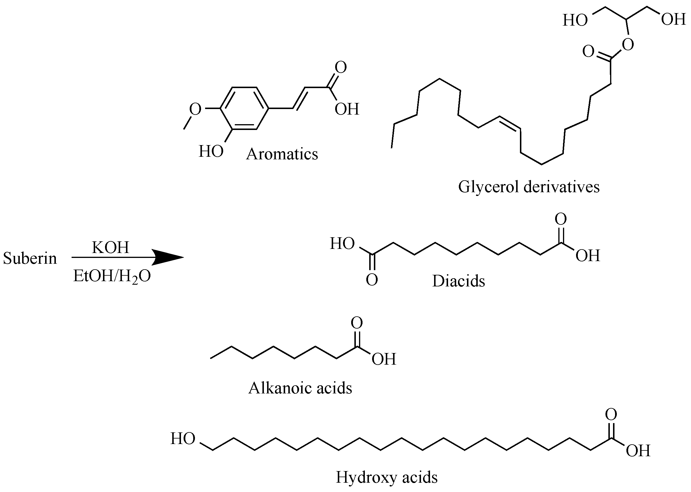 Polymers 13 04380 g001
