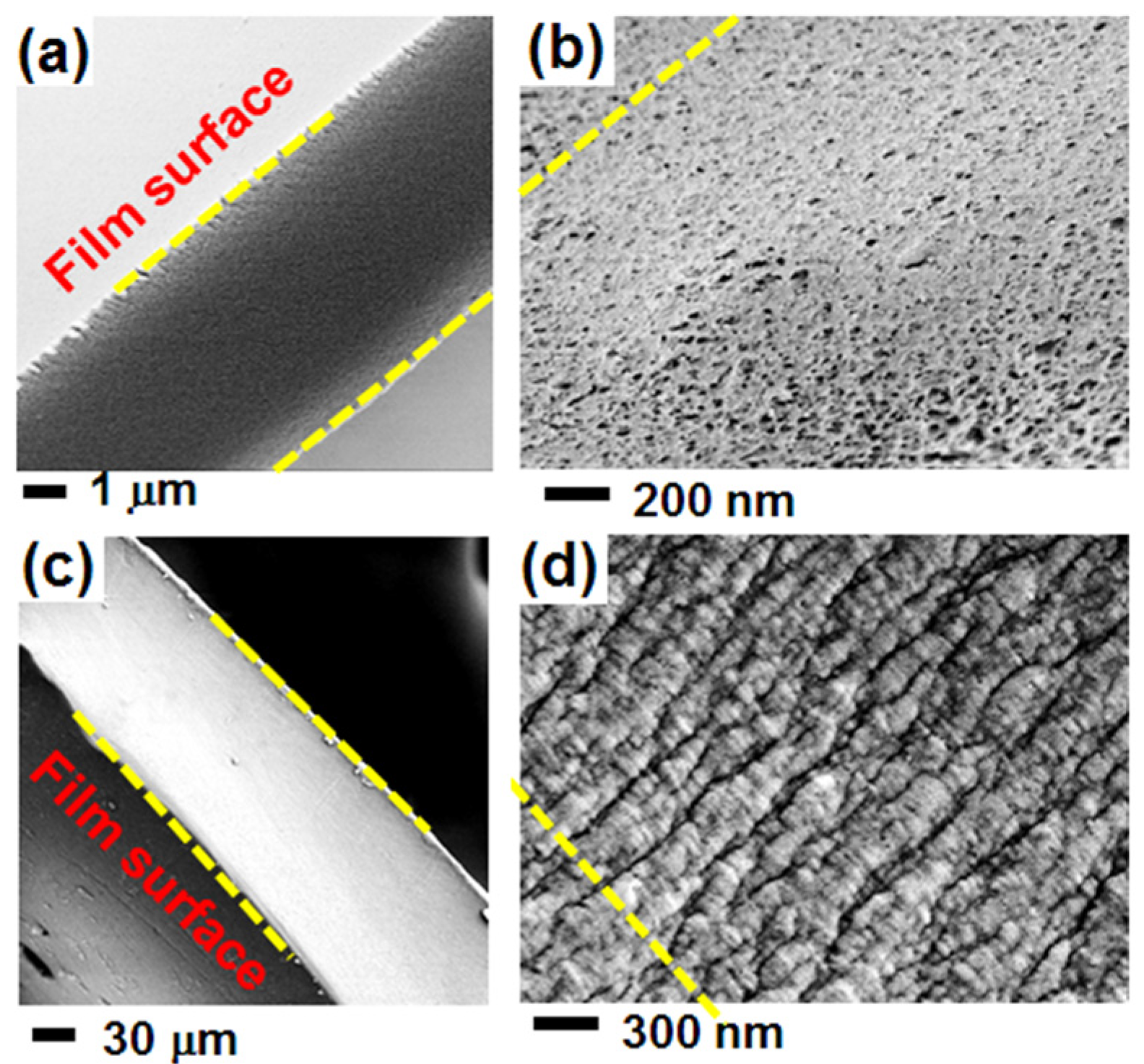 Polymers 13 04384 g004