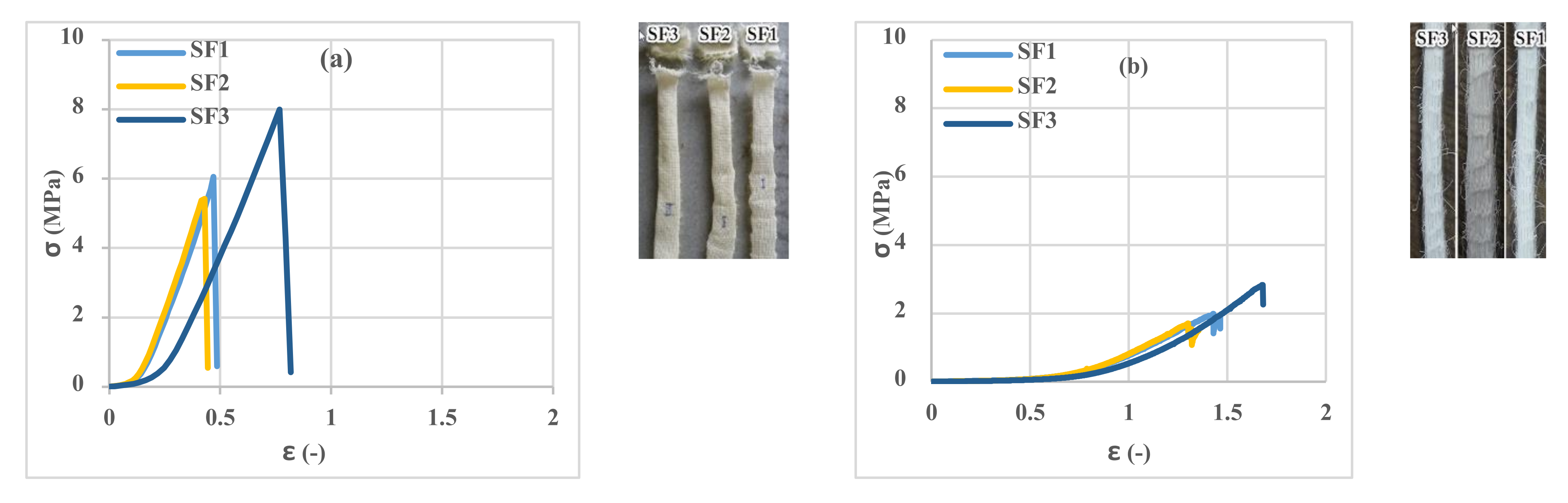 Polymers 13 04385 g006