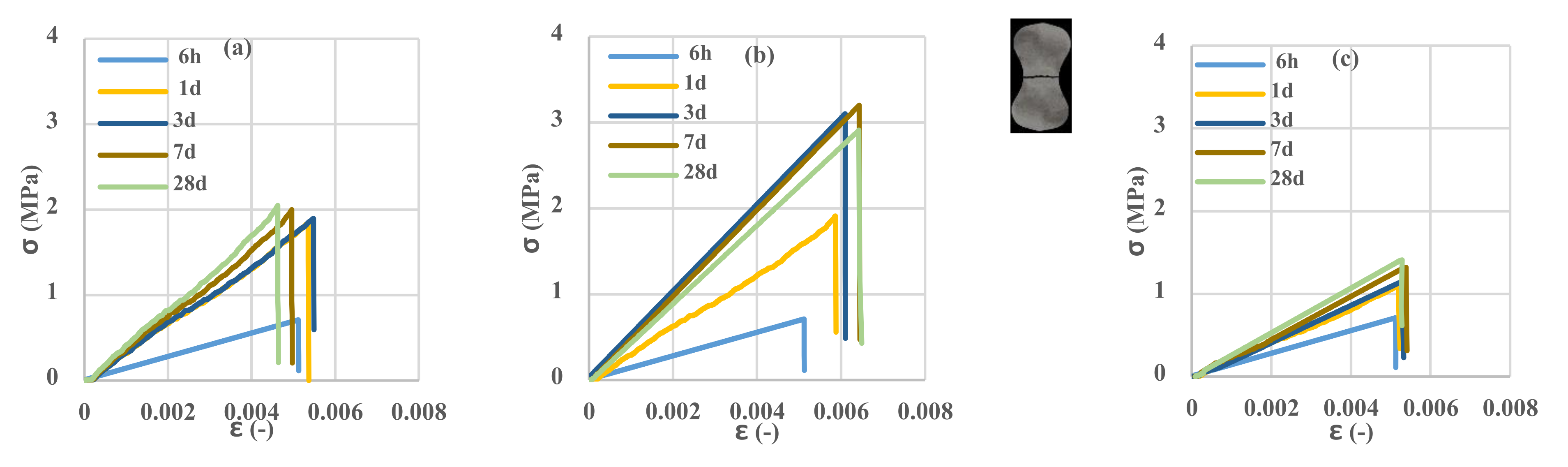 Polymers 13 04385 g007