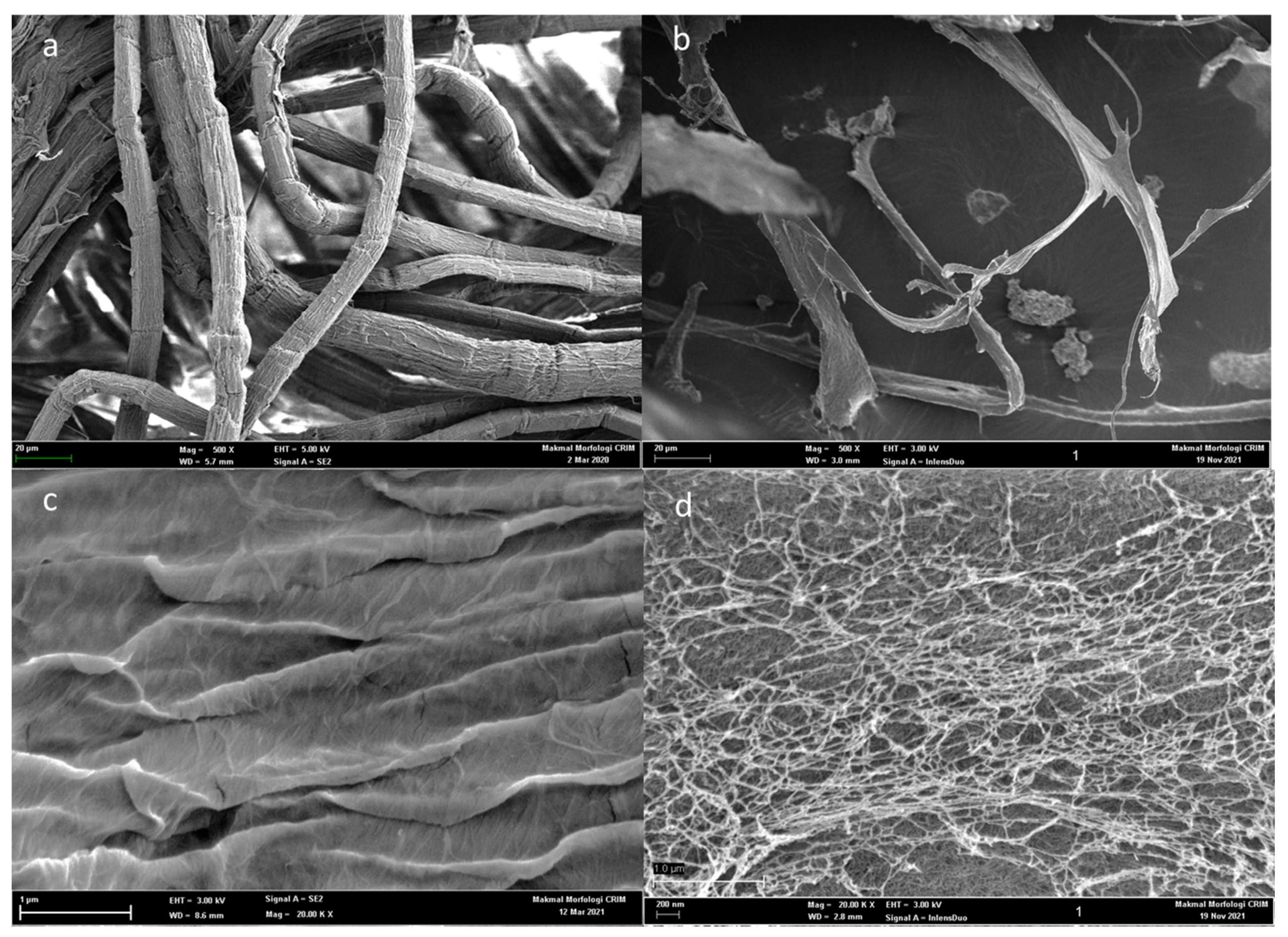 Polymers 13 04392 g002