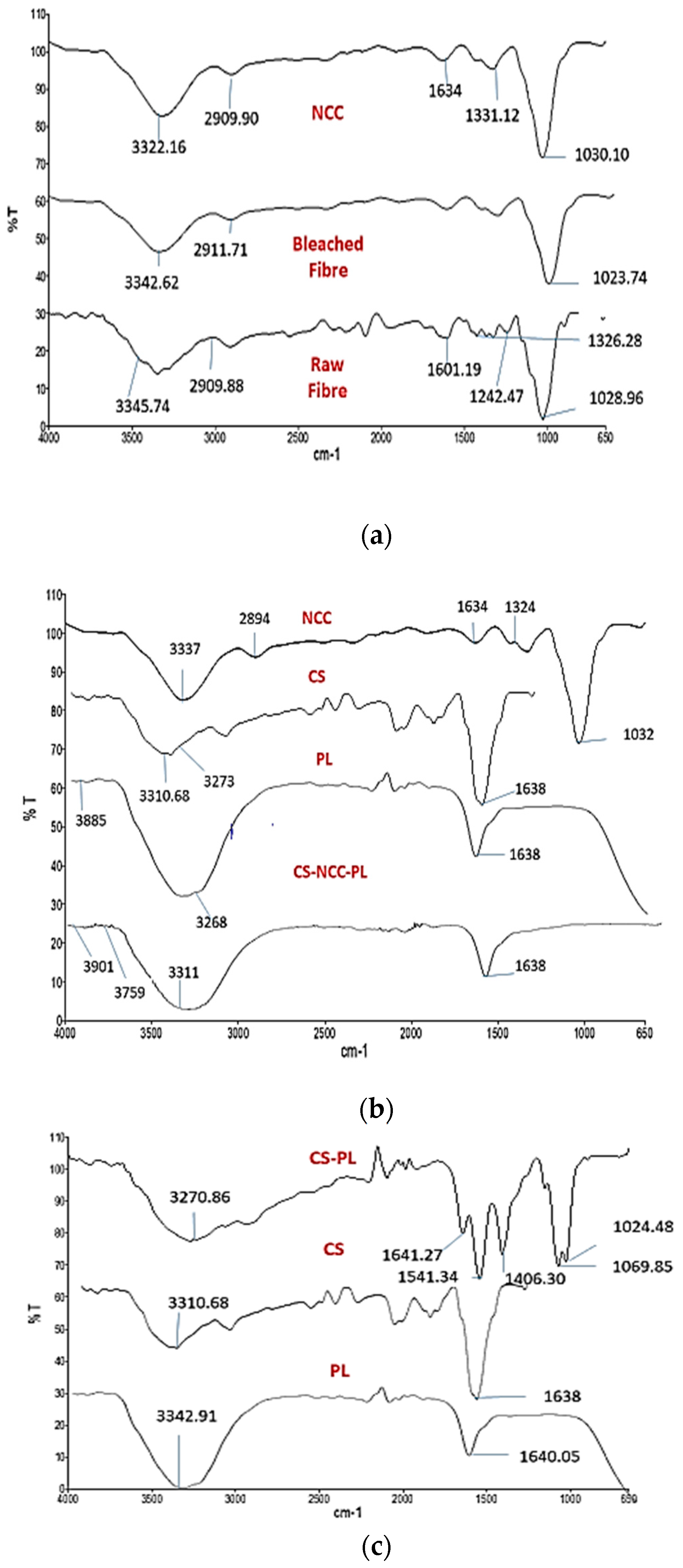 Polymers 13 04392 g003
