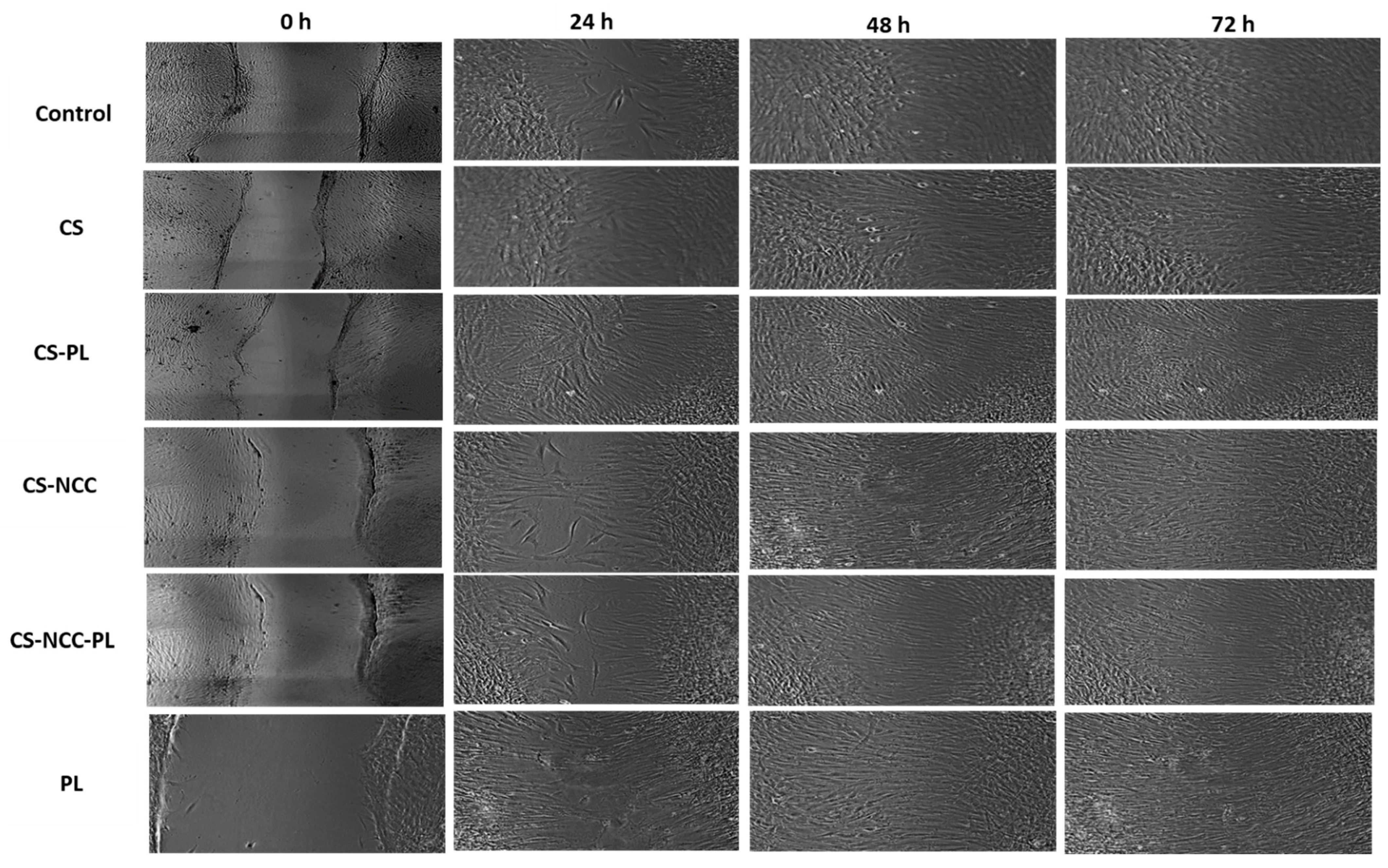 Polymers 13 04392 g011