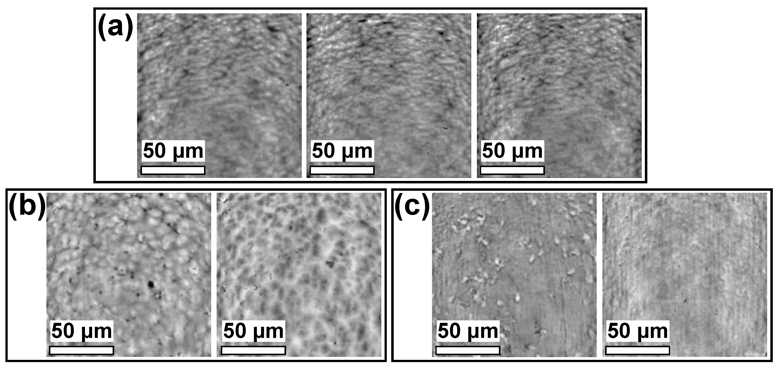 Polymers 13 04396 g006
