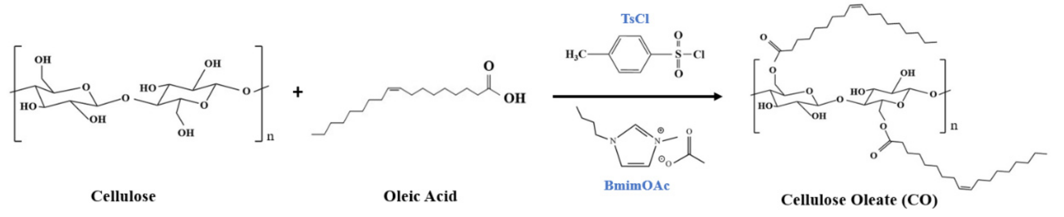 Polymers 13 04397 sch001