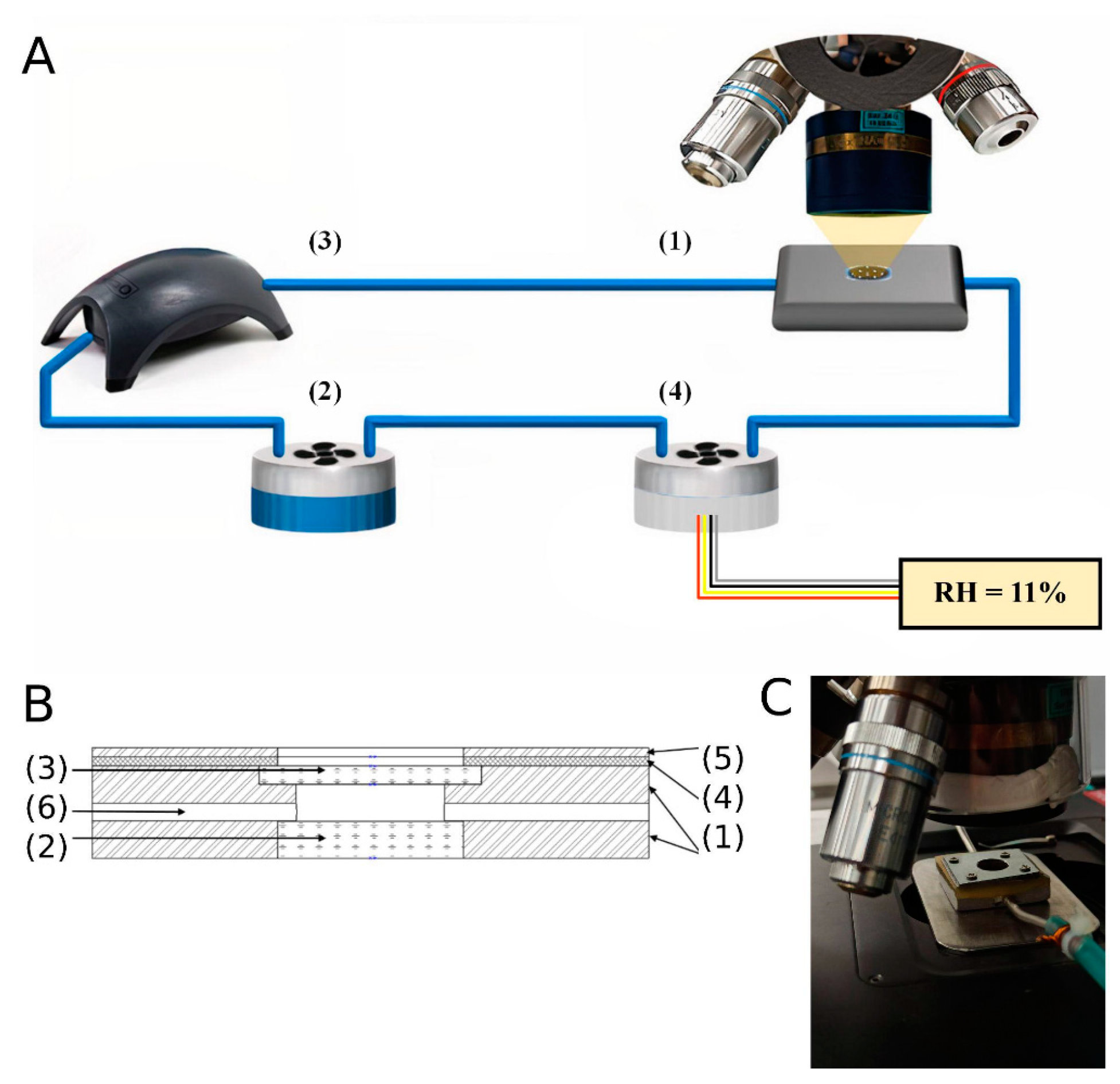 Polymers 13 04403 g003