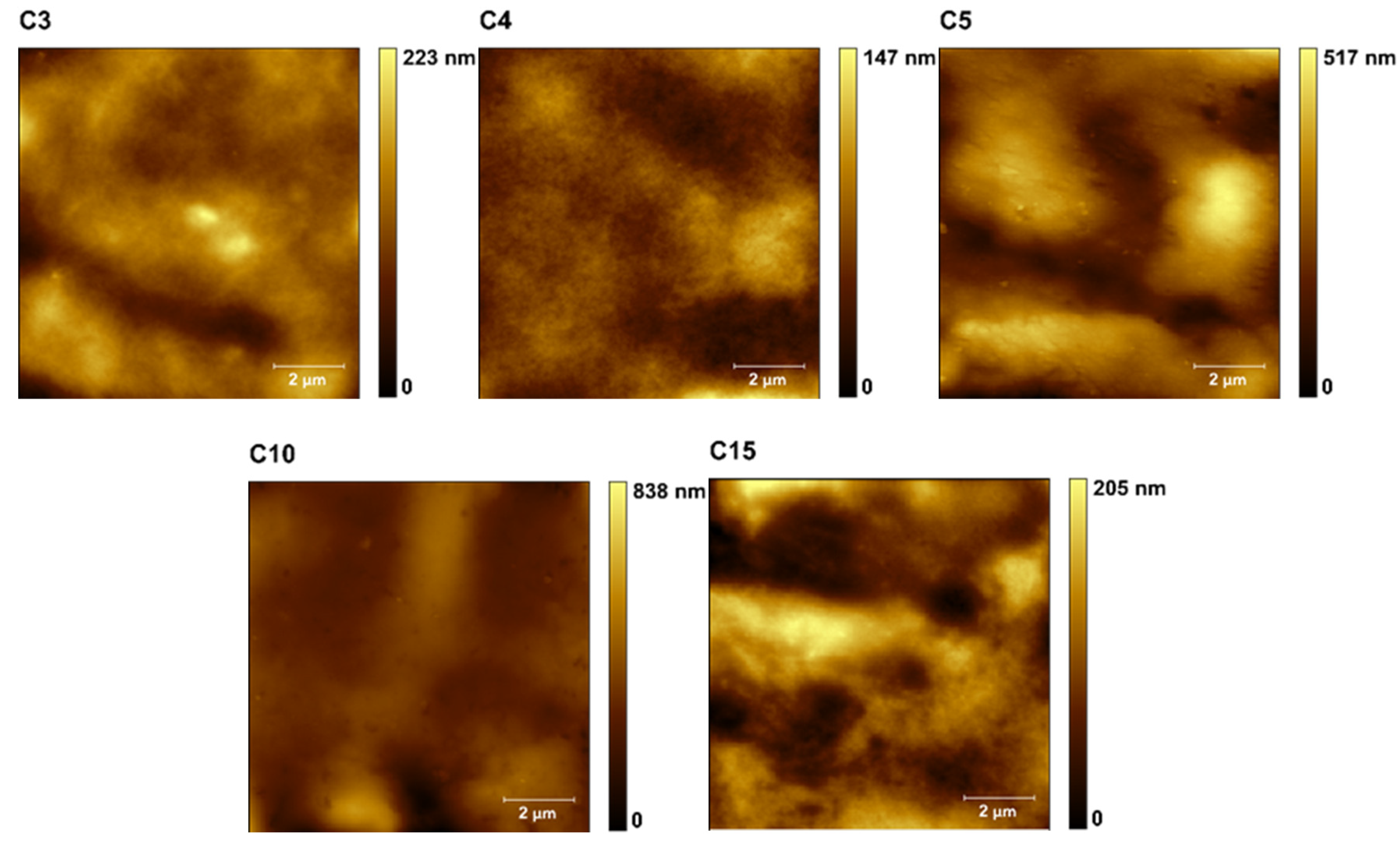 Polymers 13 04406 g003b