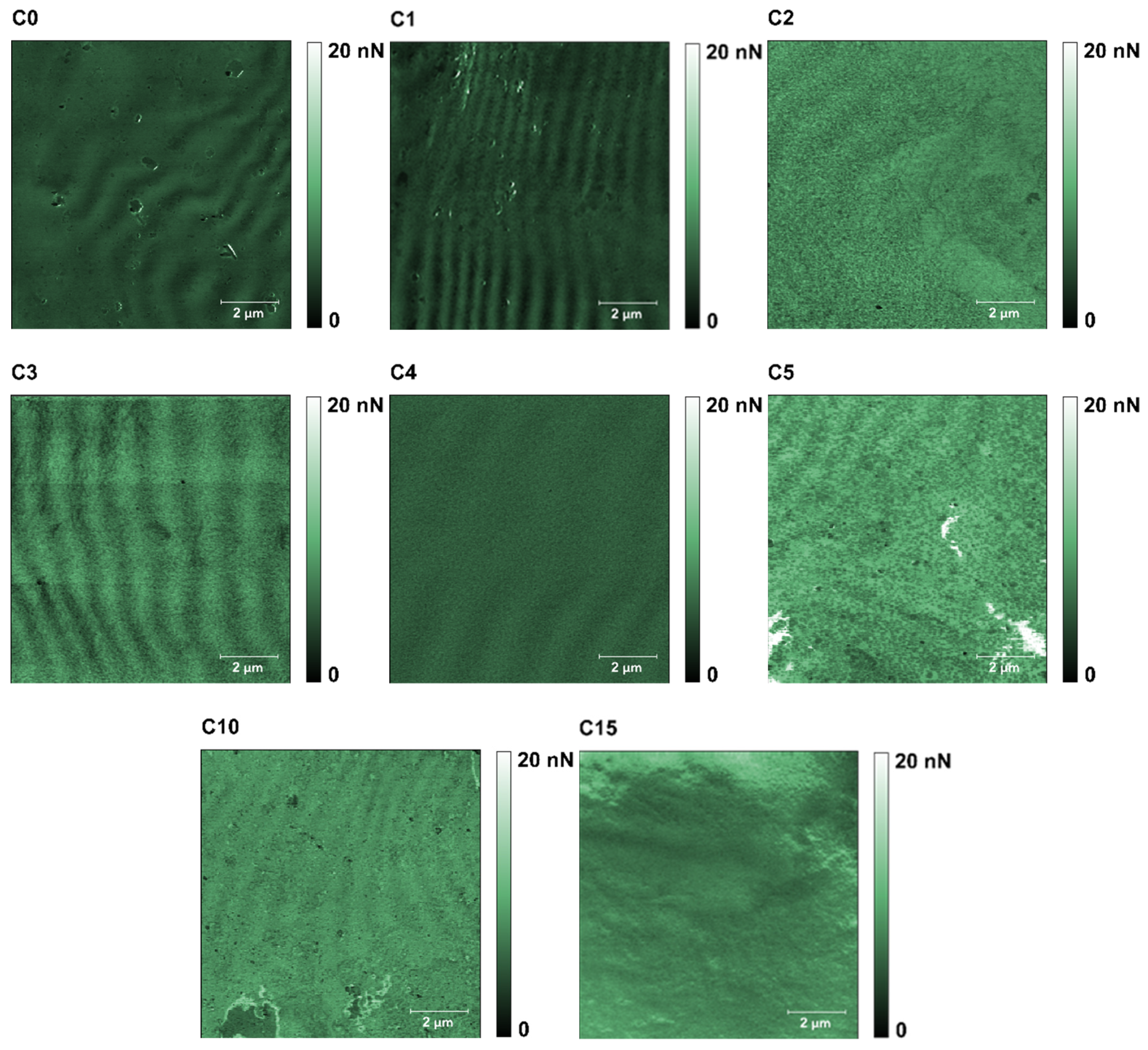 Polymers 13 04406 g005