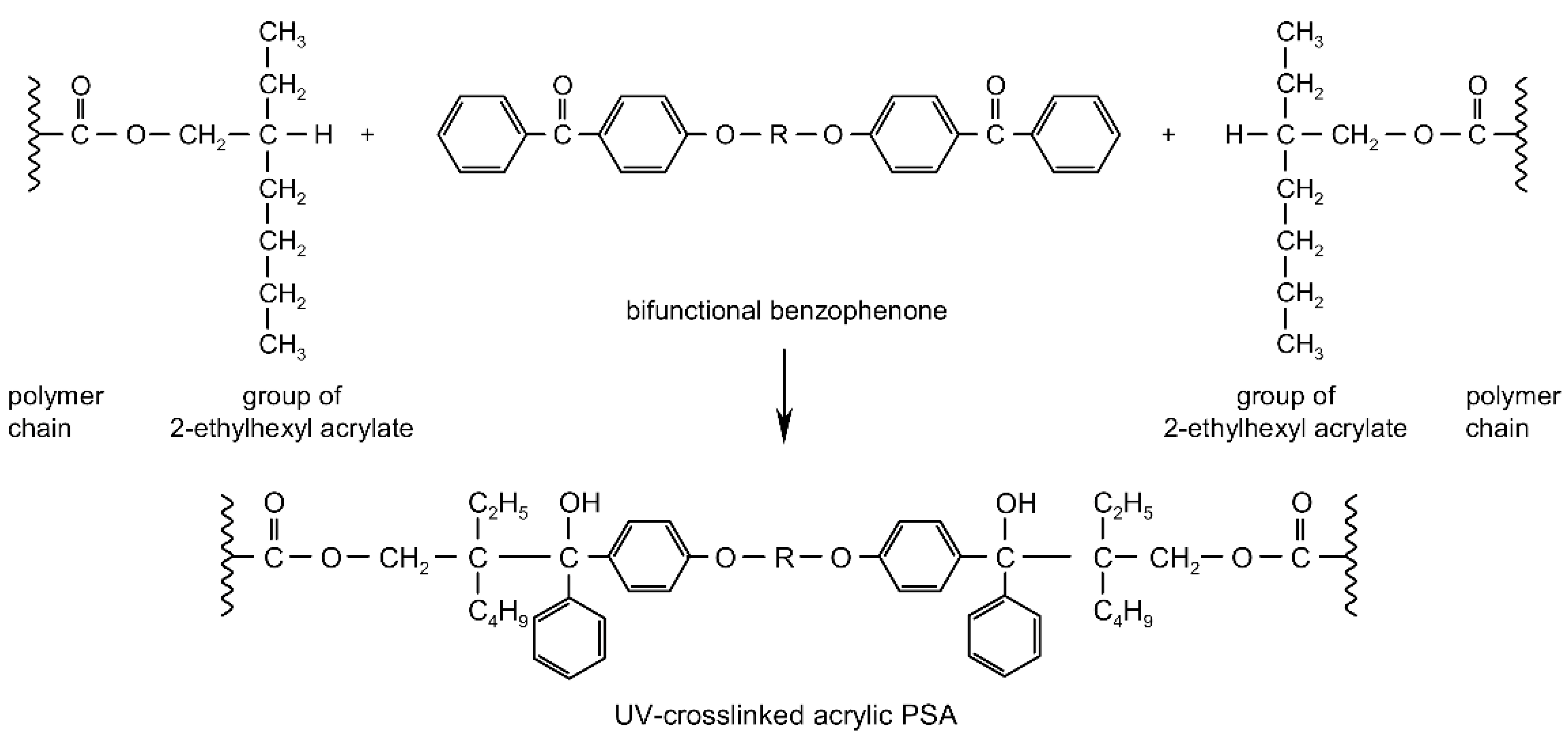 Polymers 13 04413 g001
