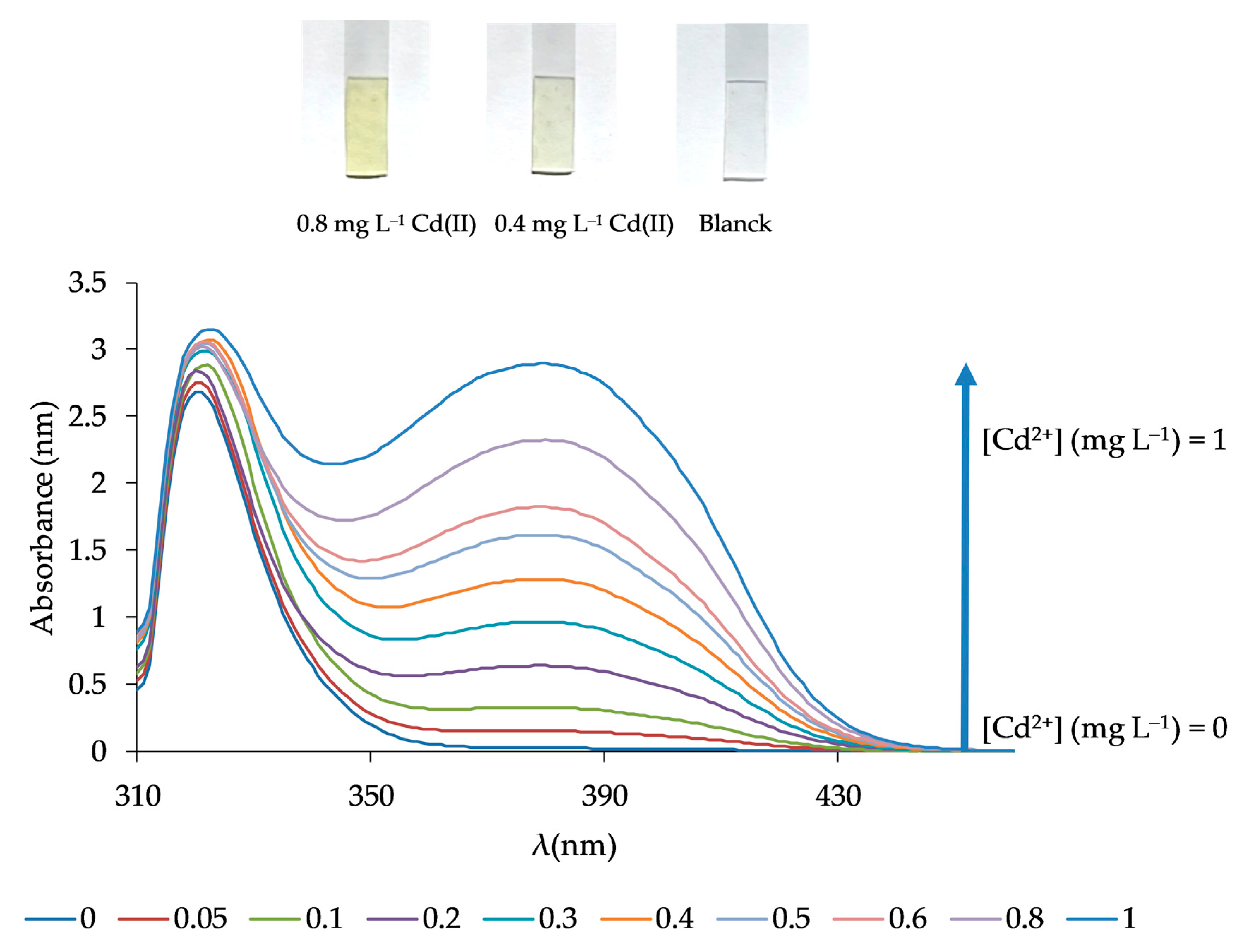 Polymers 13 04414 g008