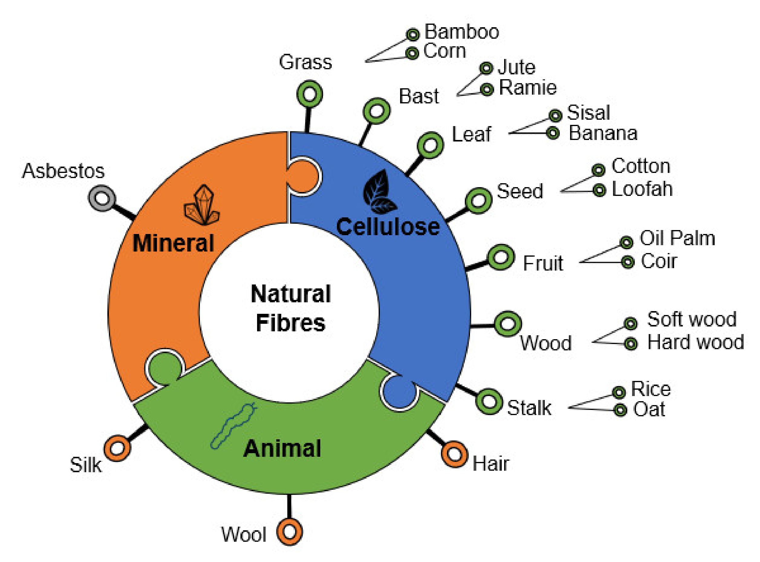 Polymers 13 04425 g001