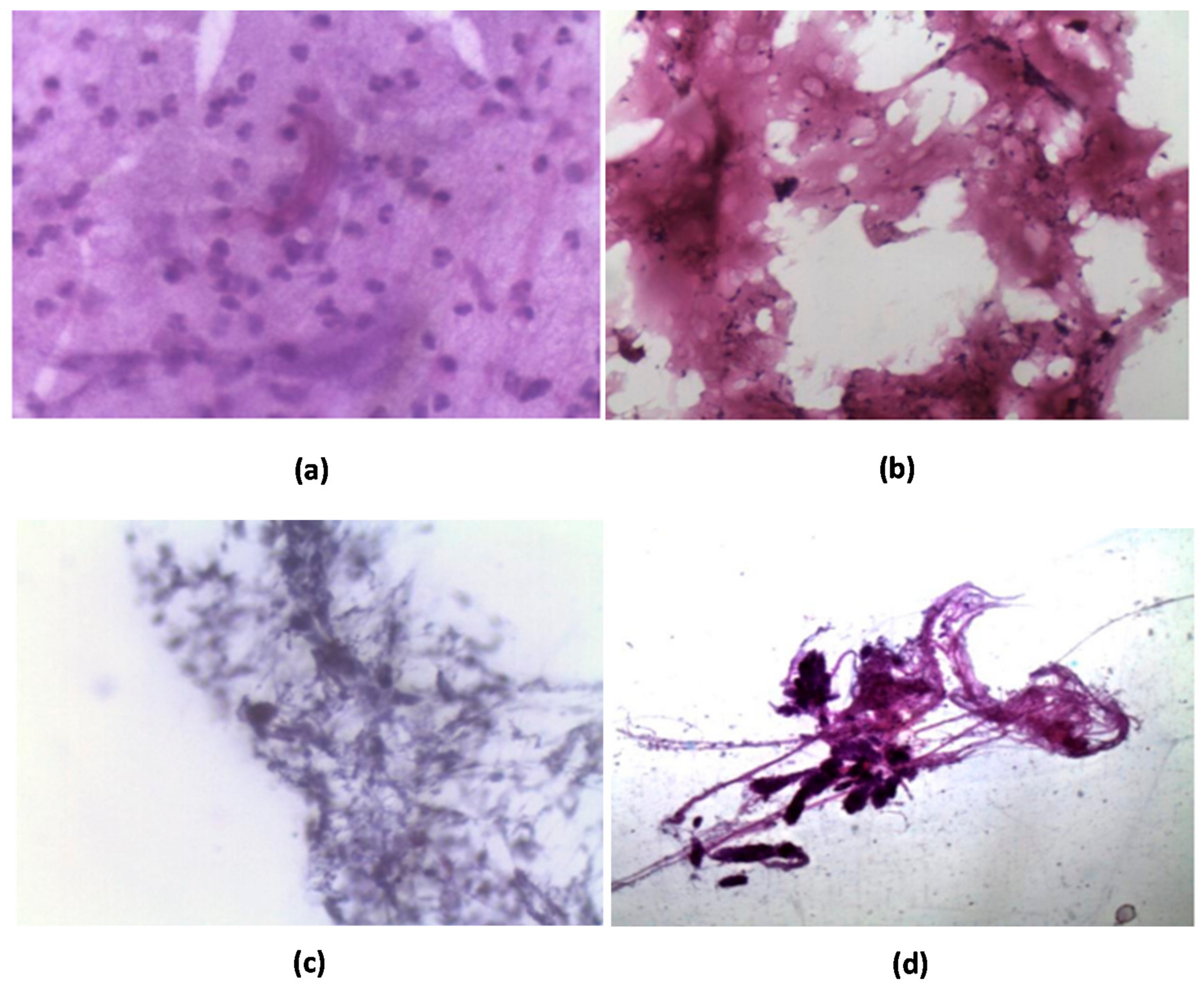 Polymers 13 04426 g006 Polymers 13 04426 g006
