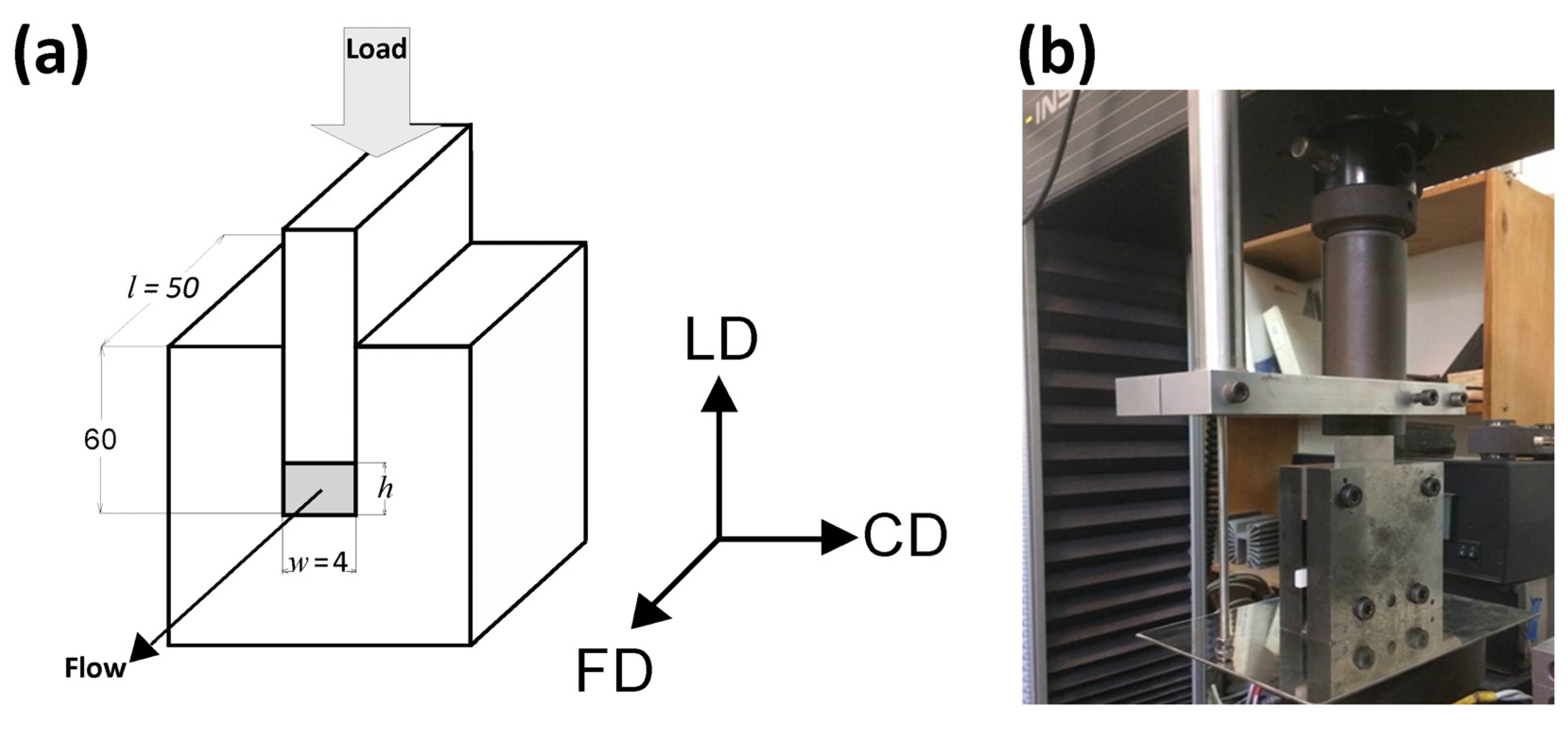 Polymers 13 04432 g001