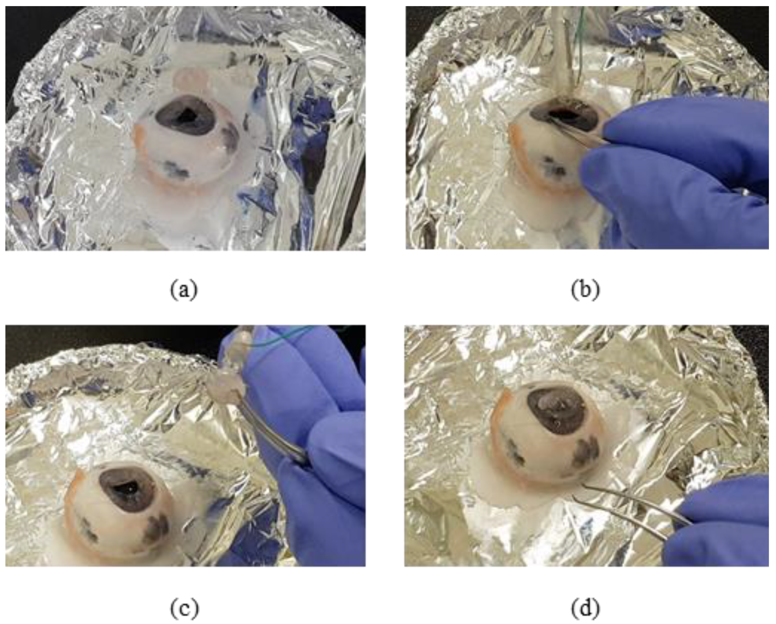 Polymers 13 04433 g009