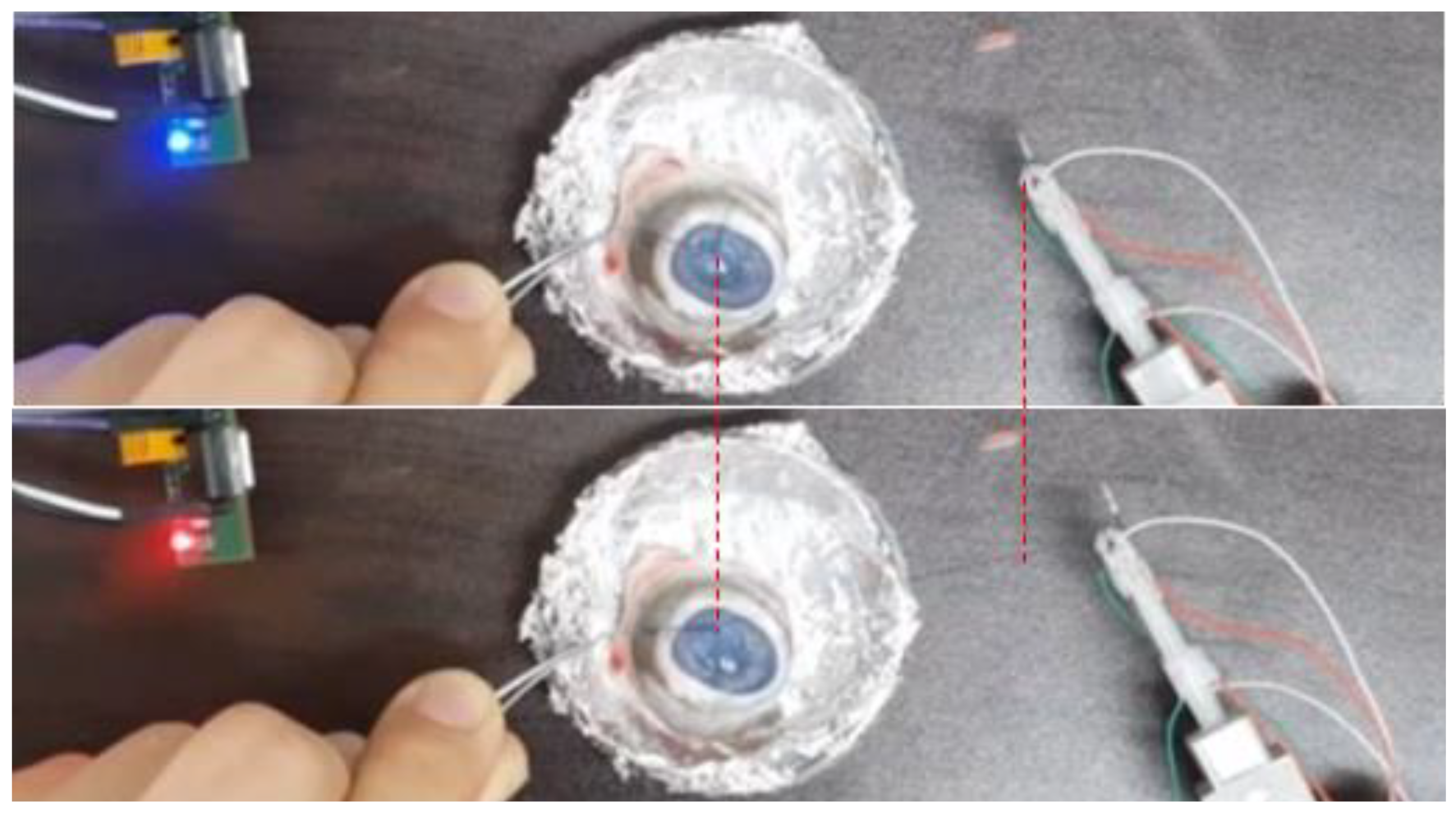 Polymers 13 04433 g010