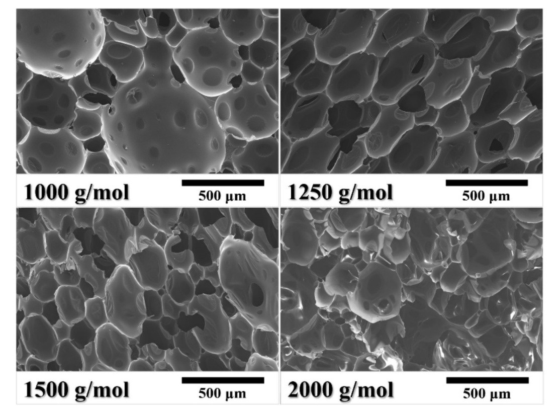 Polymers 13 04434 g008