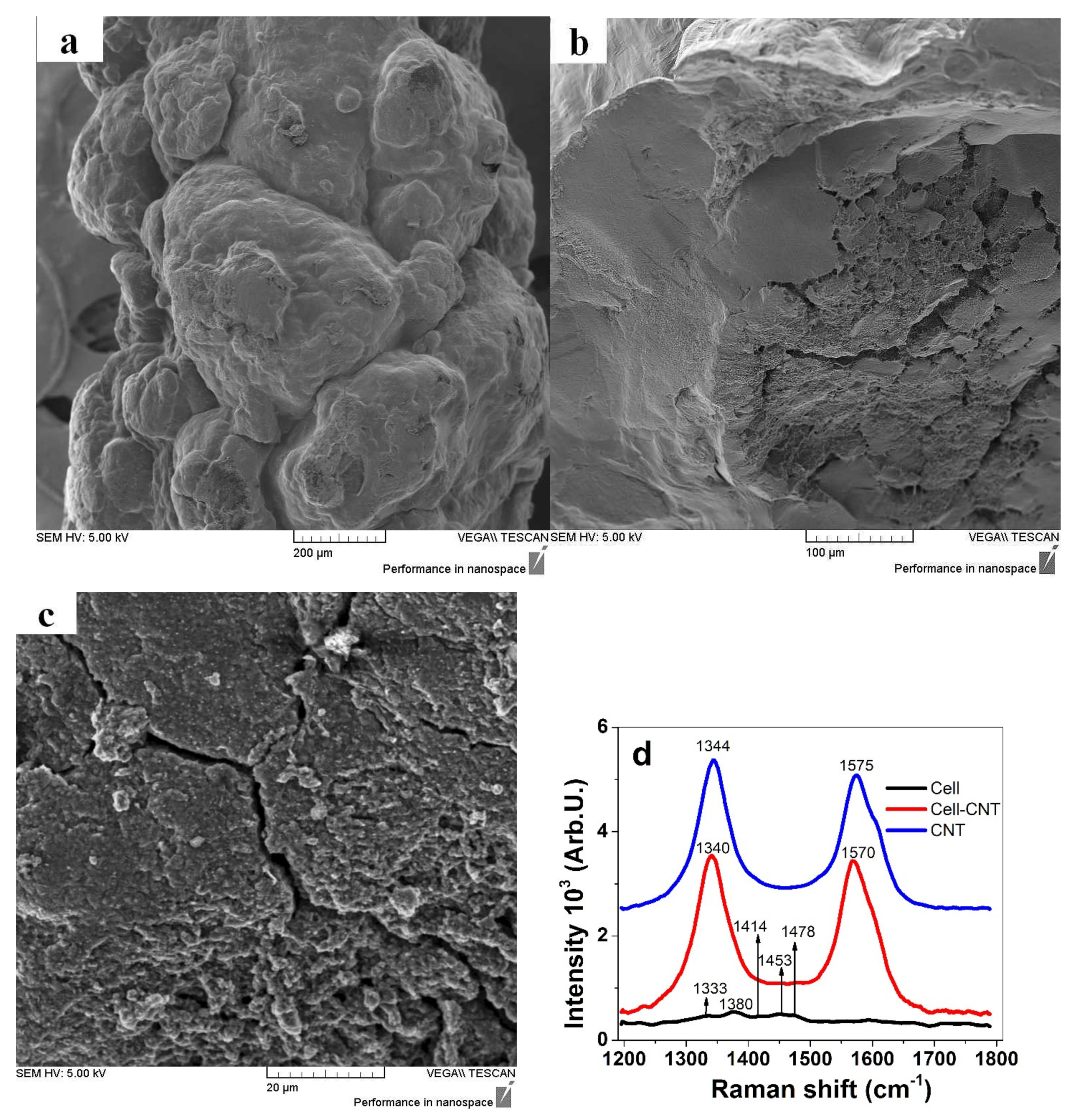 Polymers 13 04439 g001