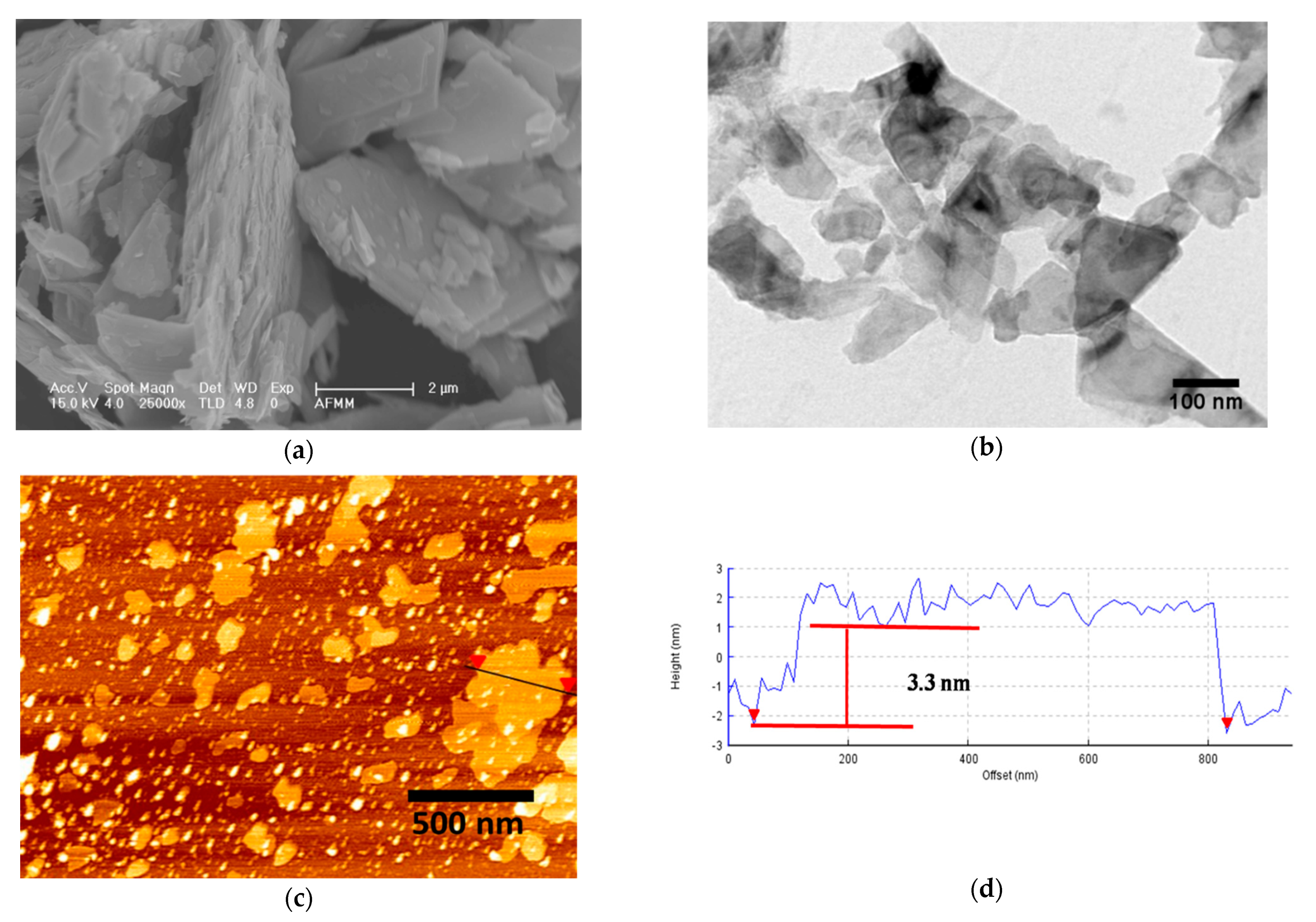 Polymers 13 04440 g002