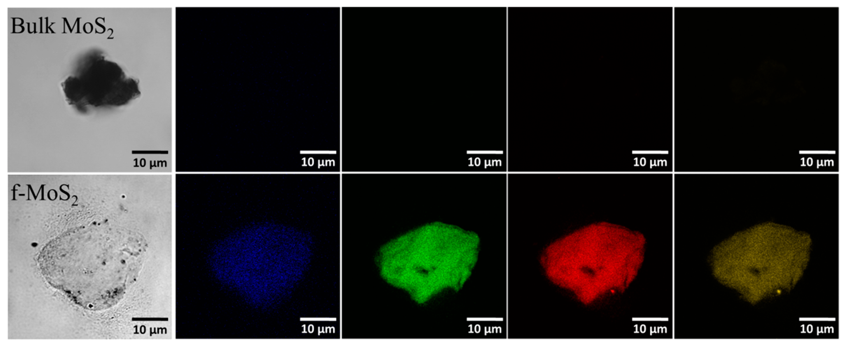 Polymers 13 04440 g003