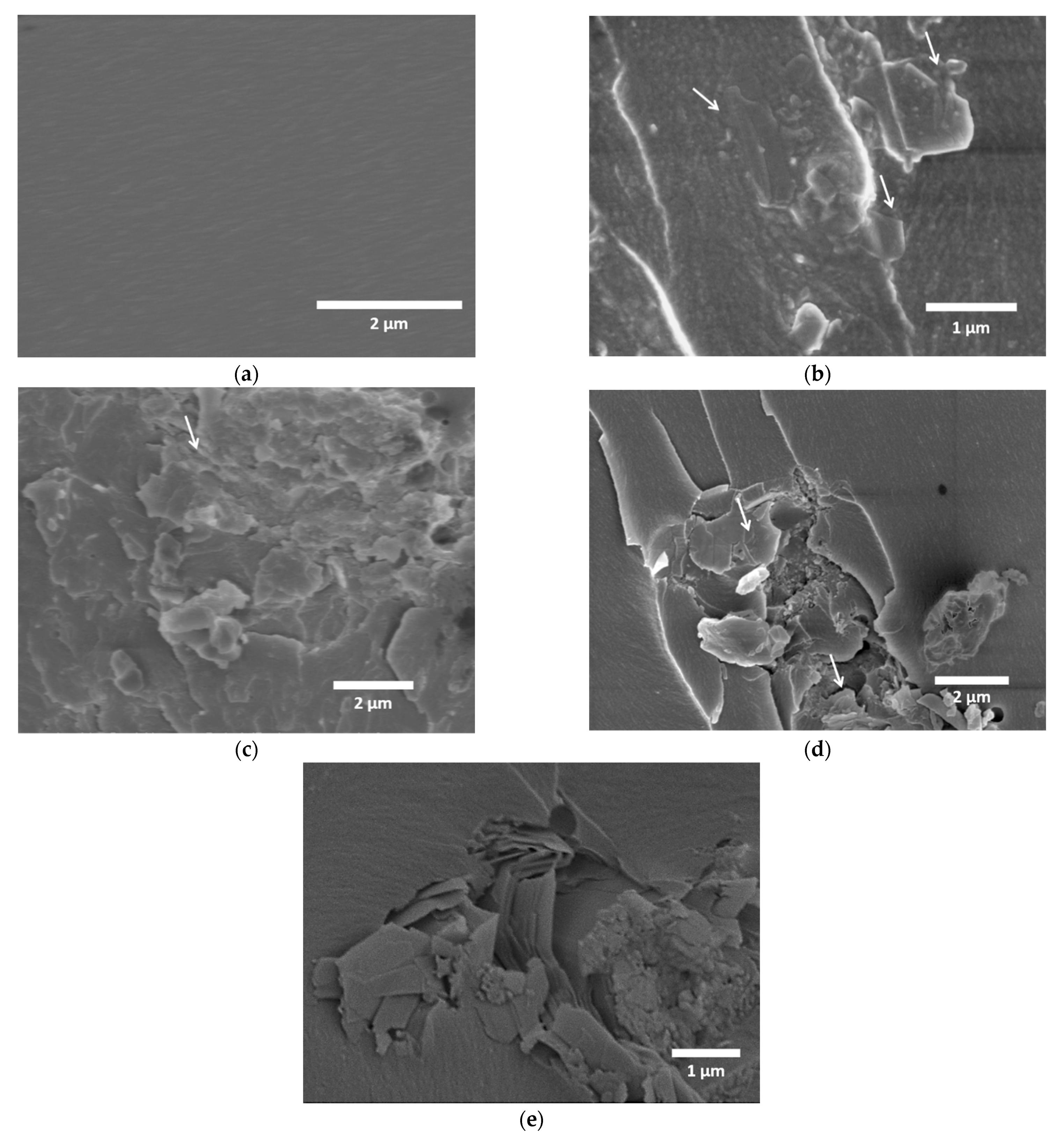 Polymers 13 04440 g009