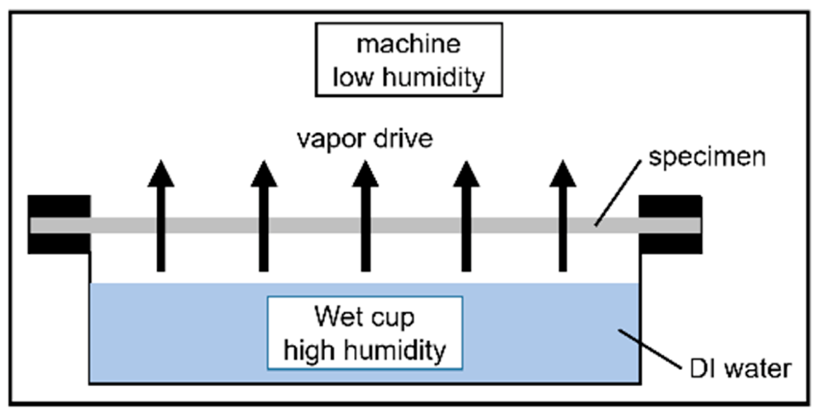 Polymers 13 04447 g003