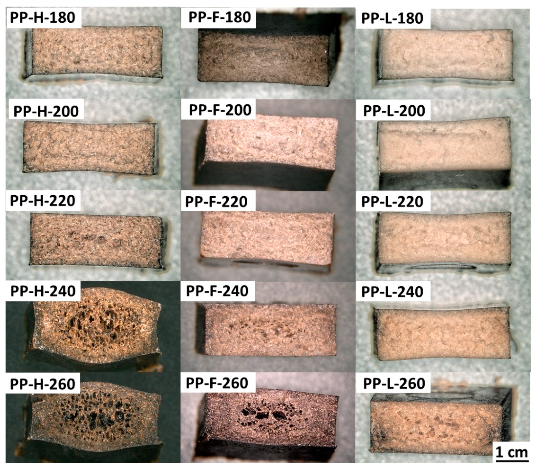 Polymers 13 04448 g003