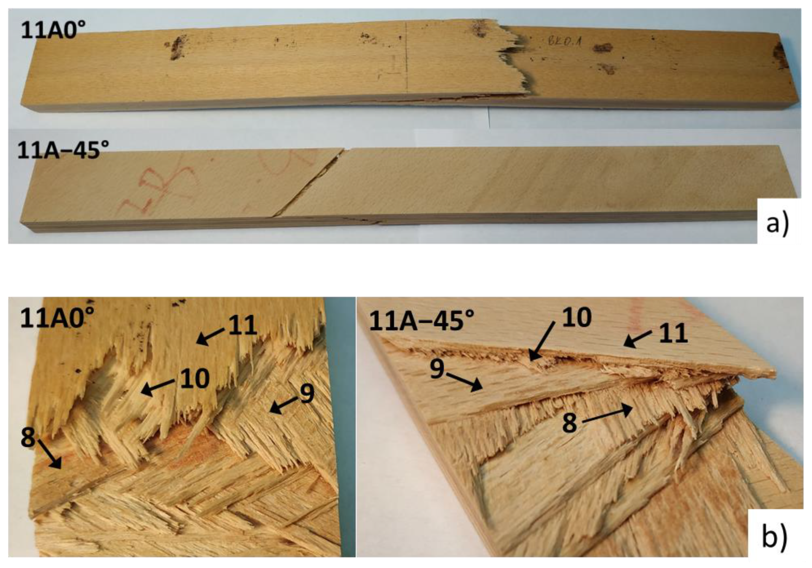 Polymers 13 04449 g007