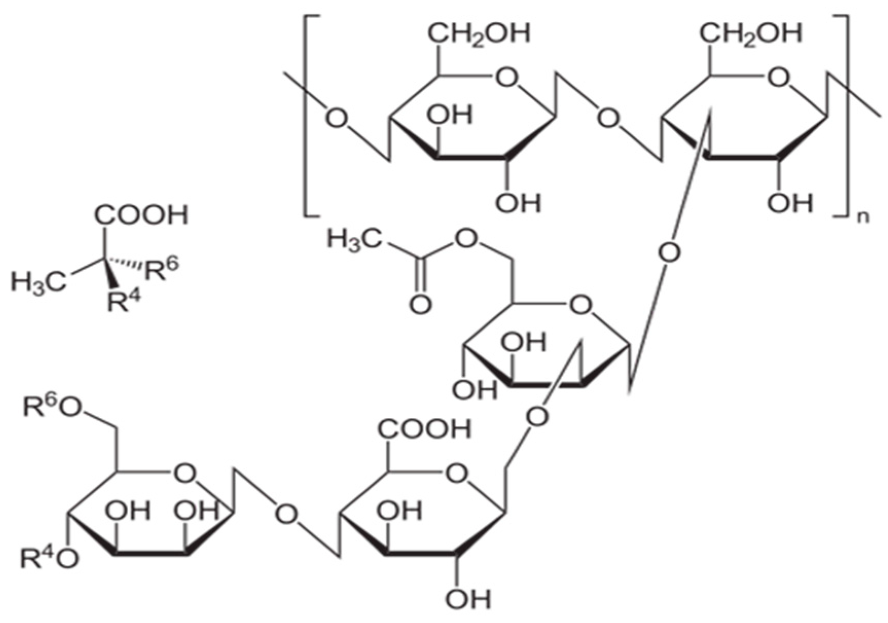 Polymers 13 04457 g003
