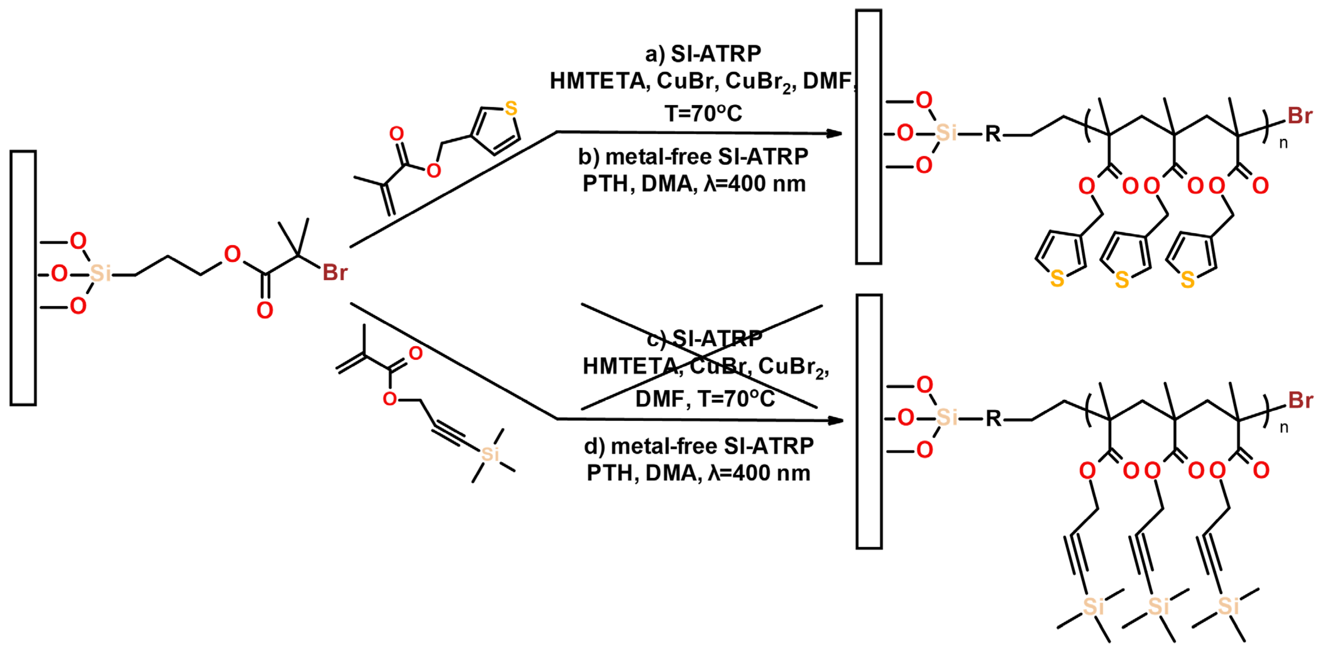 Polymers 13 04458 g001