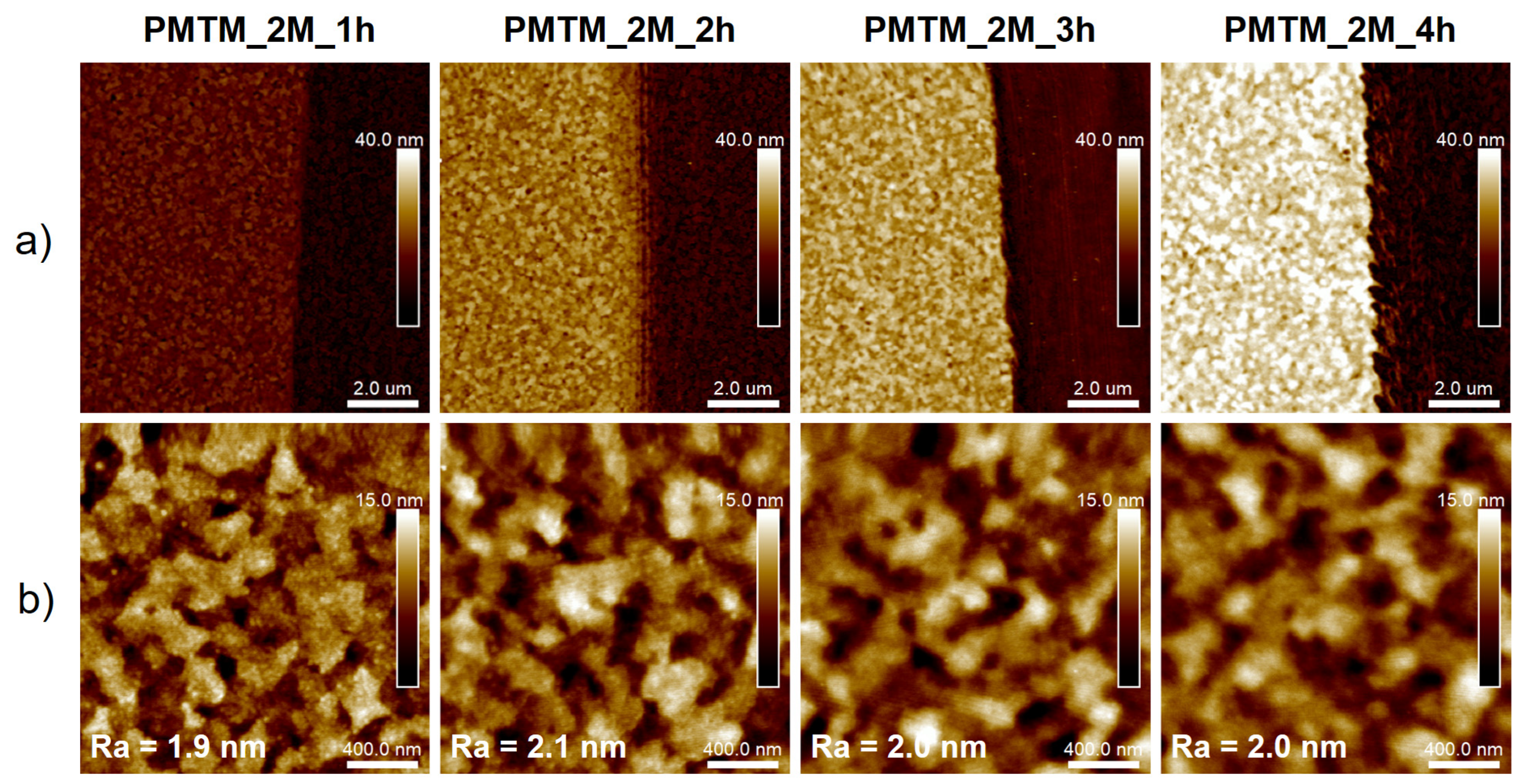 Polymers 13 04458 g004