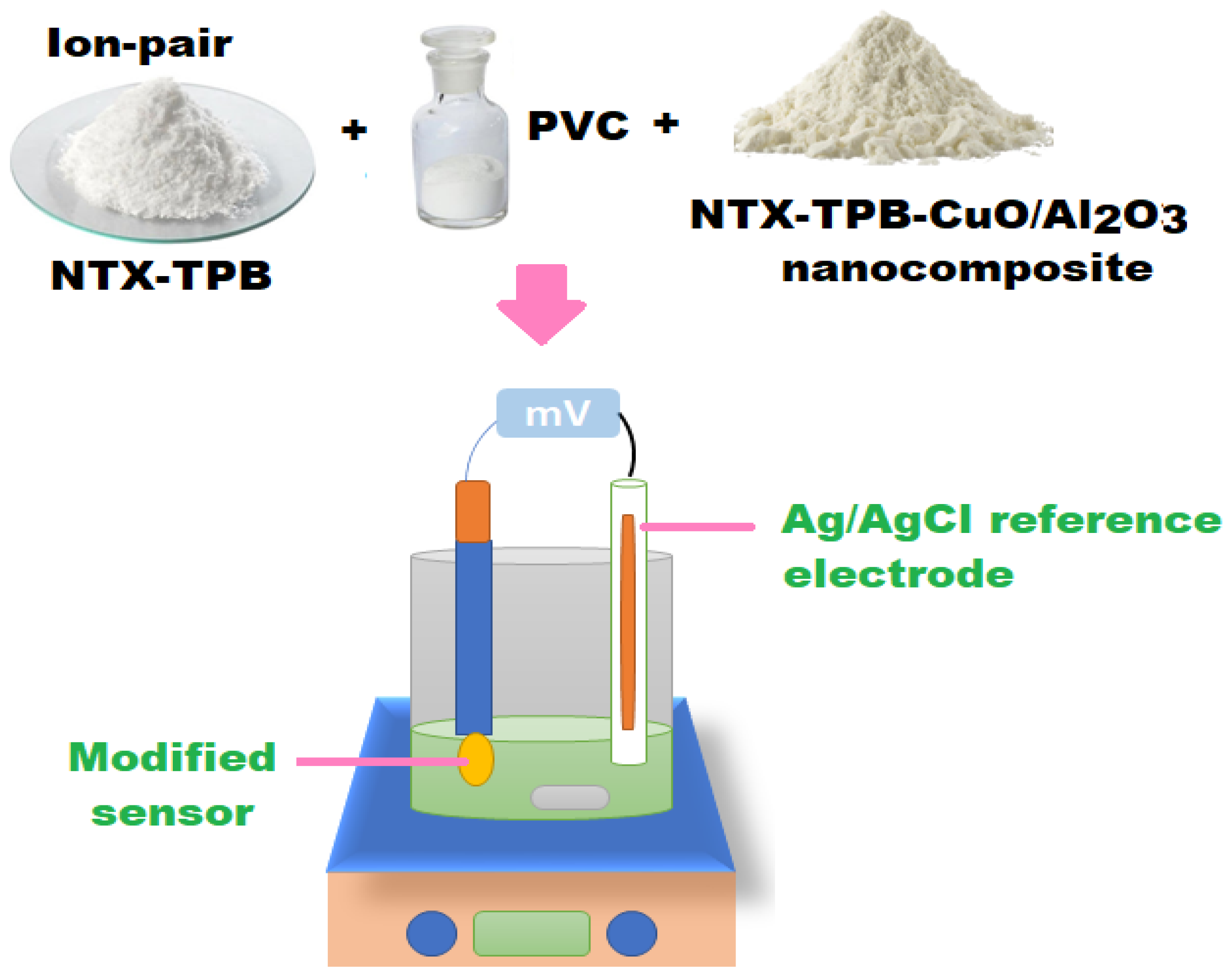 Polymers 13 04459 g002