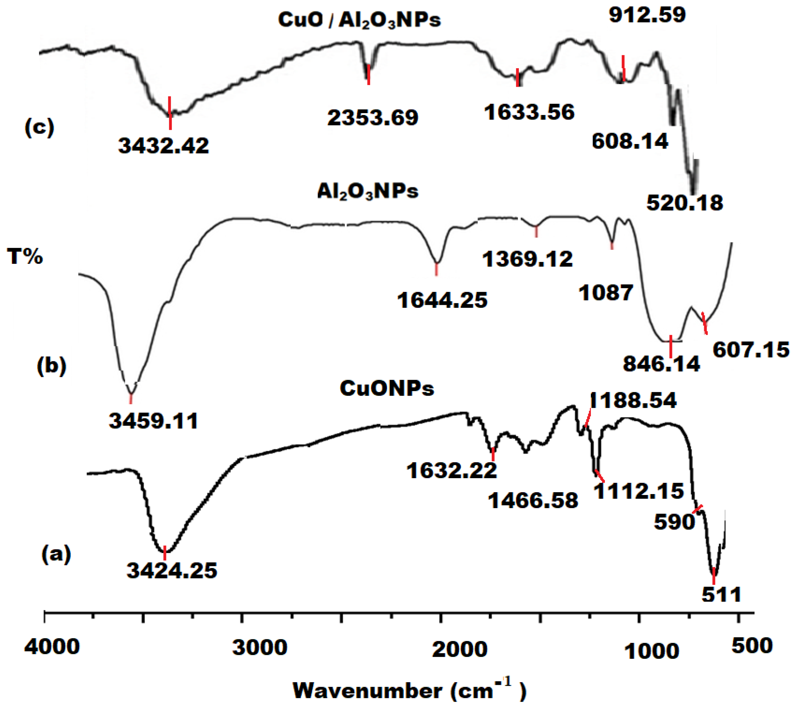 Polymers 13 04459 g004