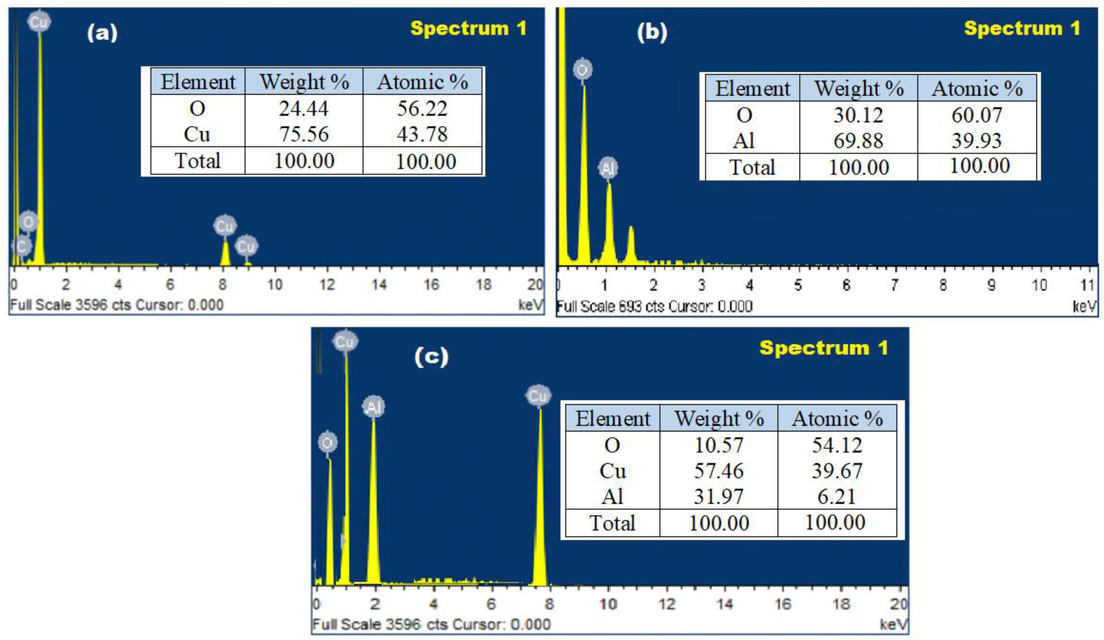 Polymers 13 04459 g007