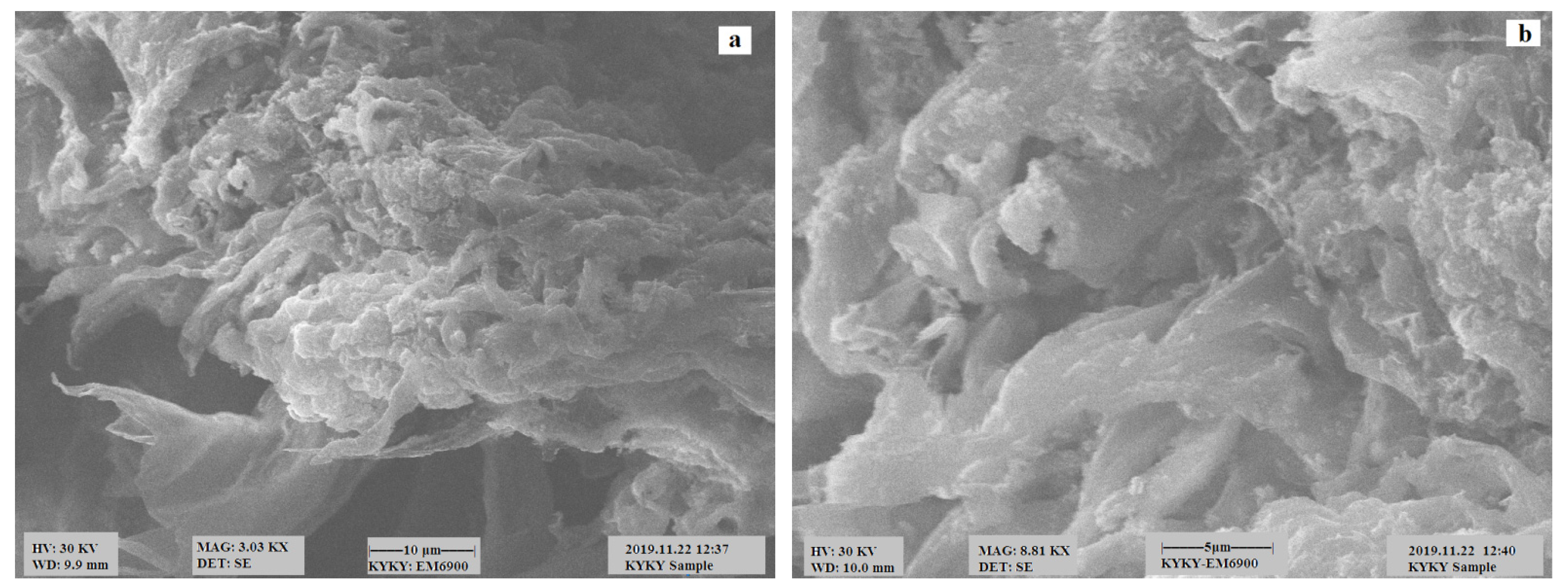 Polymers 13 04464 g002